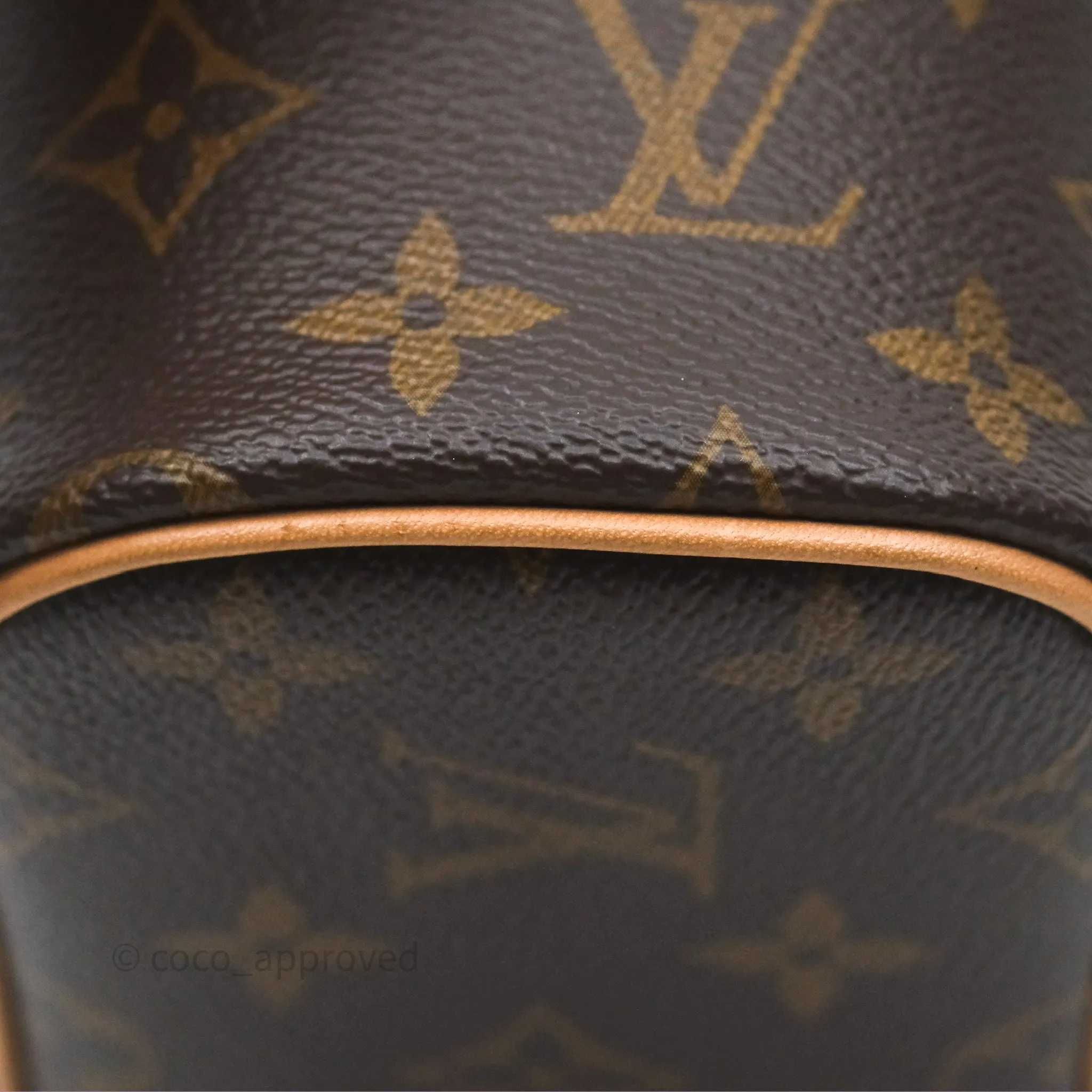 Louis Vuitton Monogram Nice Nano