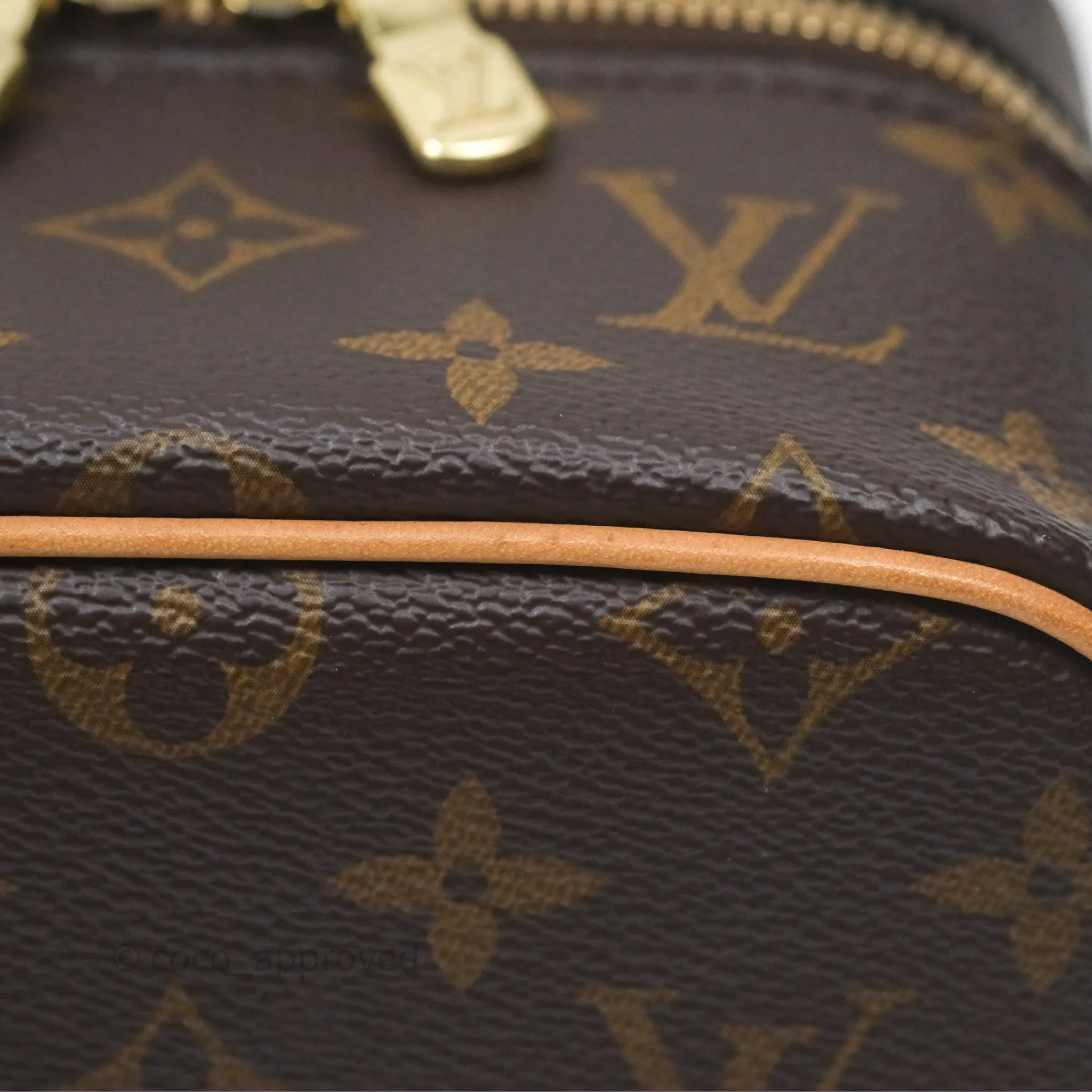 Louis Vuitton Monogram Nice Nano