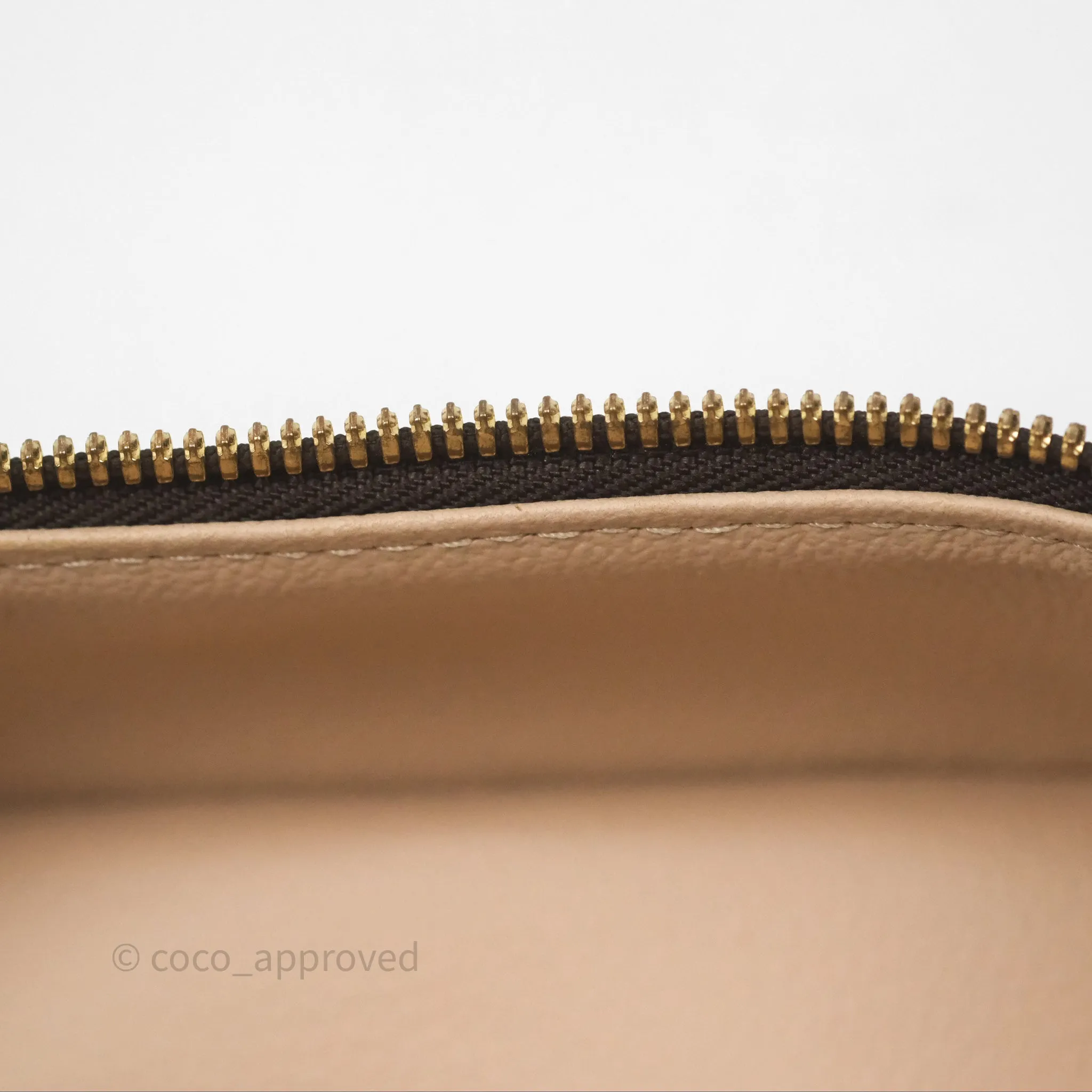 Louis Vuitton Monogram Nice Nano