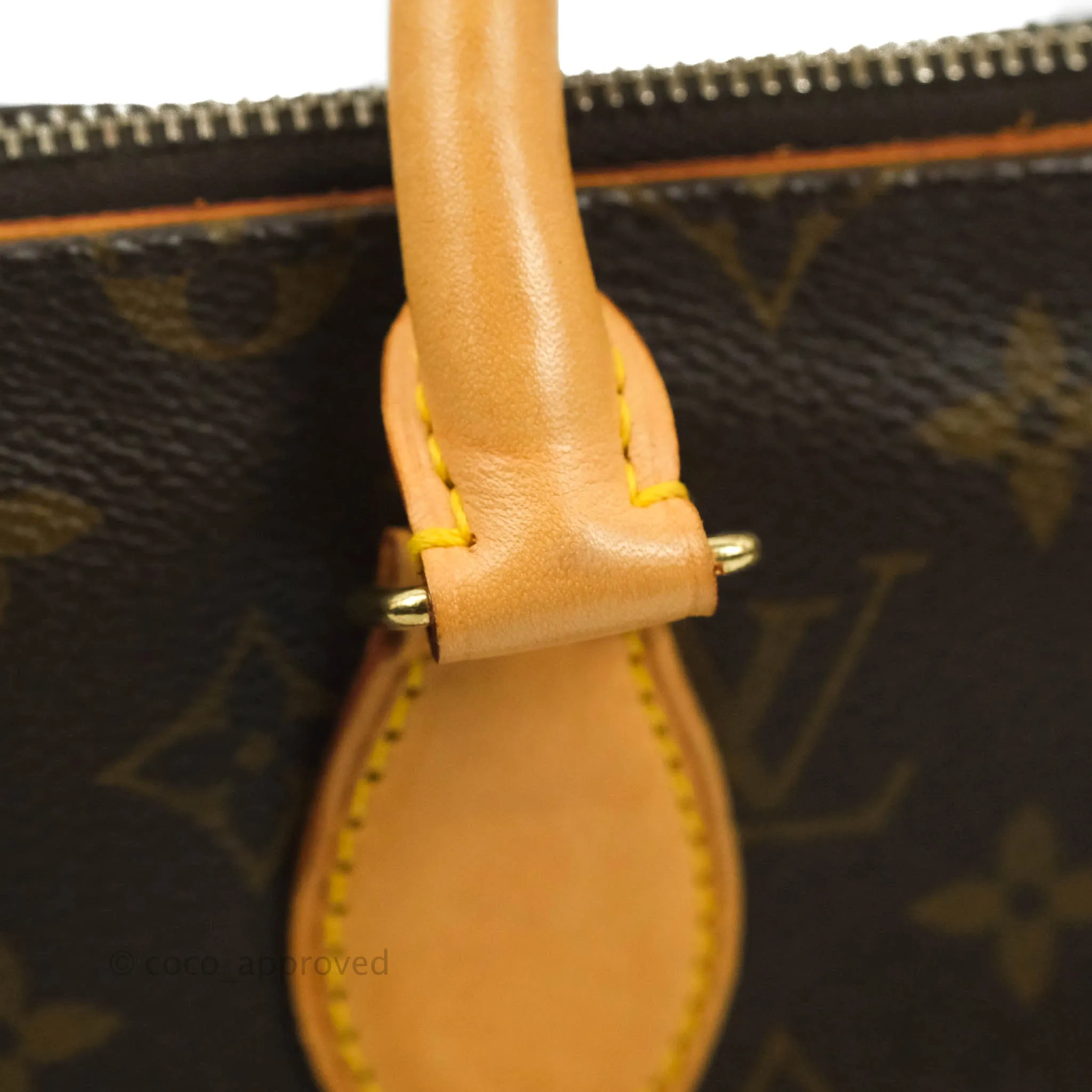 Louis Vuitton Monogram Popincourt Hand Bag
