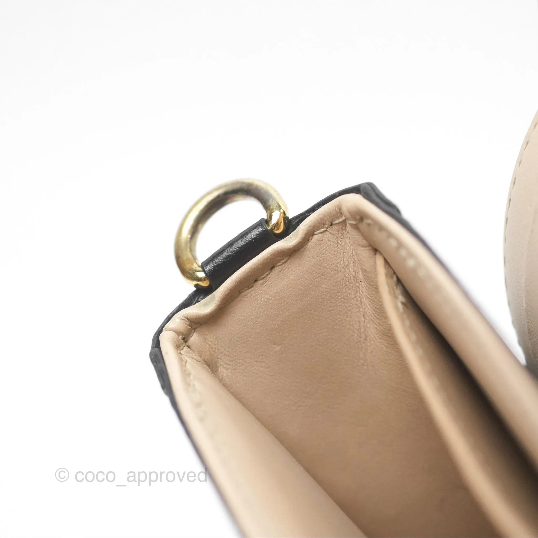 Louis Vuitton Monogram Vertical Trunk Pochette