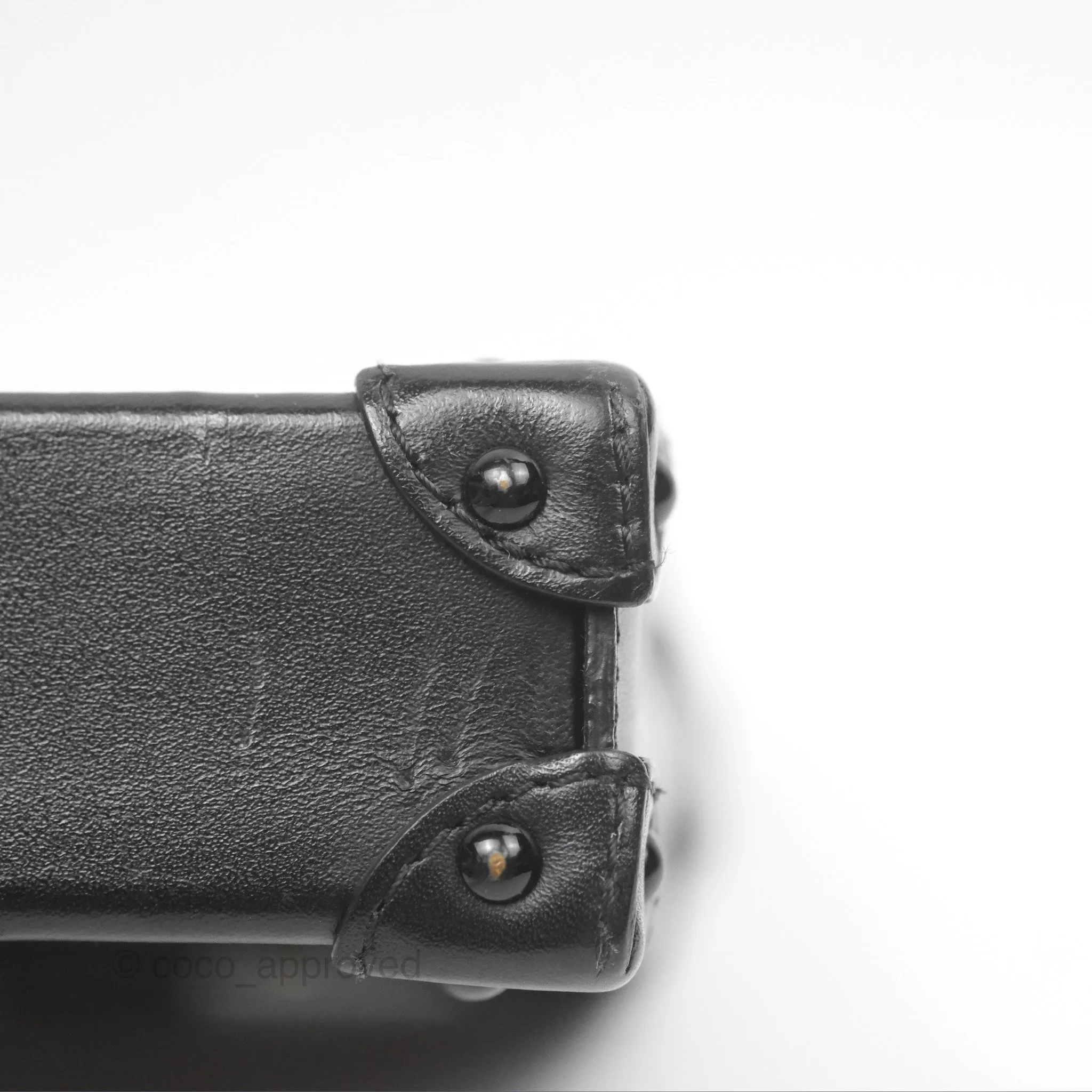Louis Vuitton Monogram Vertical Trunk Pochette