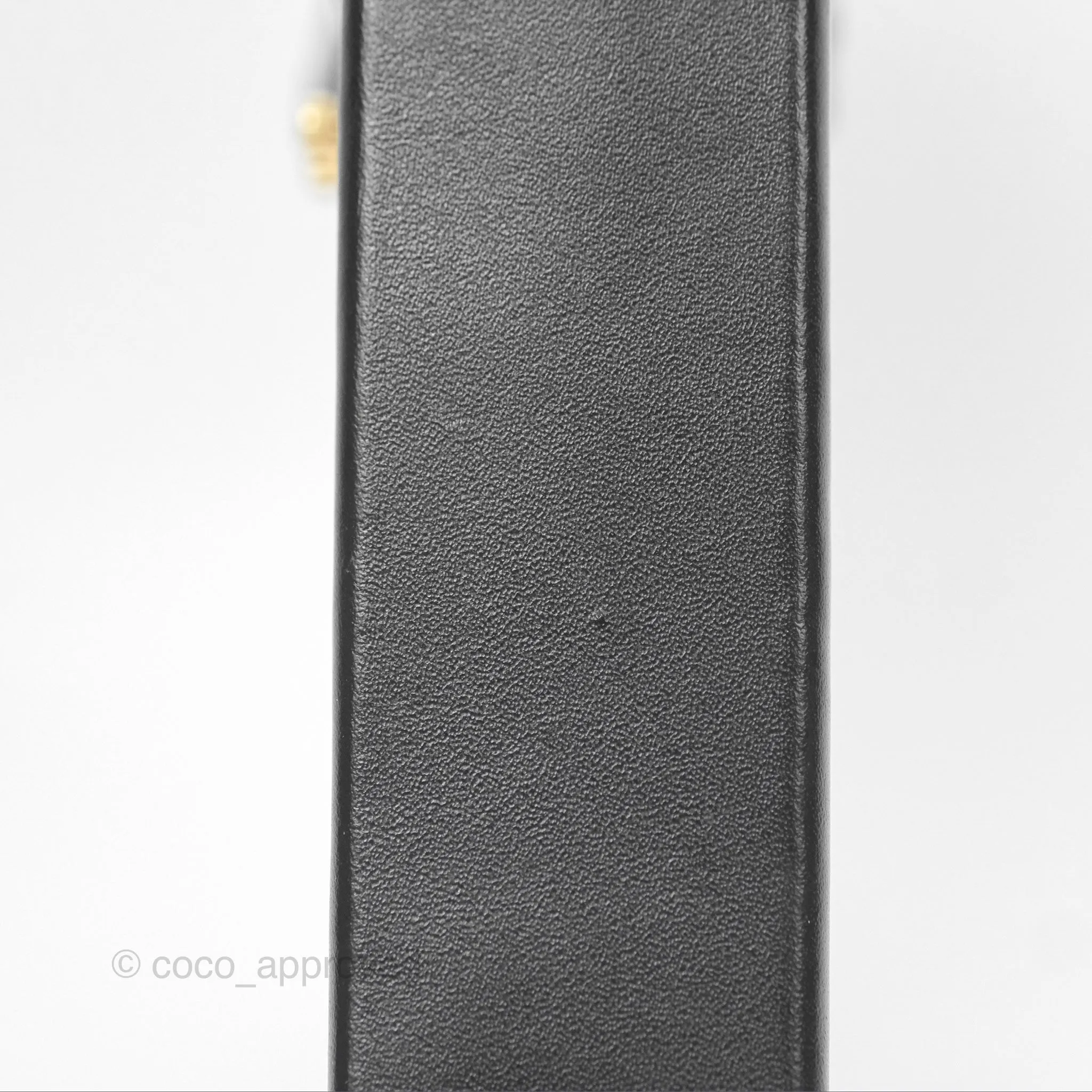 Louis Vuitton Monogram Vertical Trunk Pochette