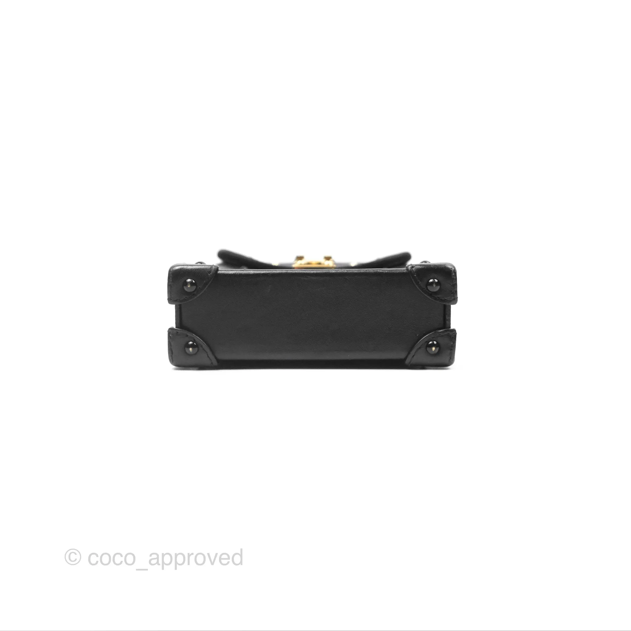 Louis Vuitton Monogram Vertical Trunk Pochette