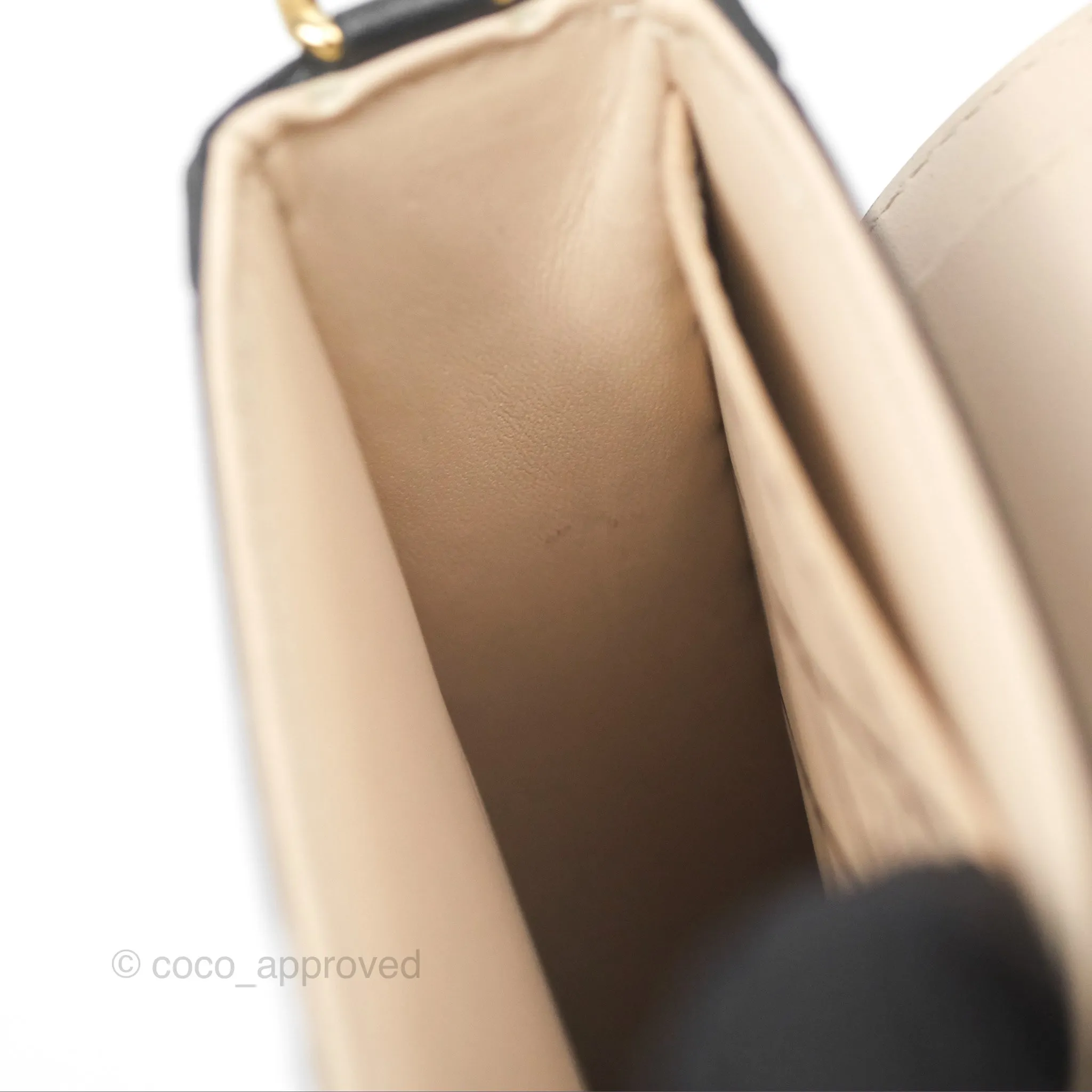 Louis Vuitton Monogram Vertical Trunk Pochette