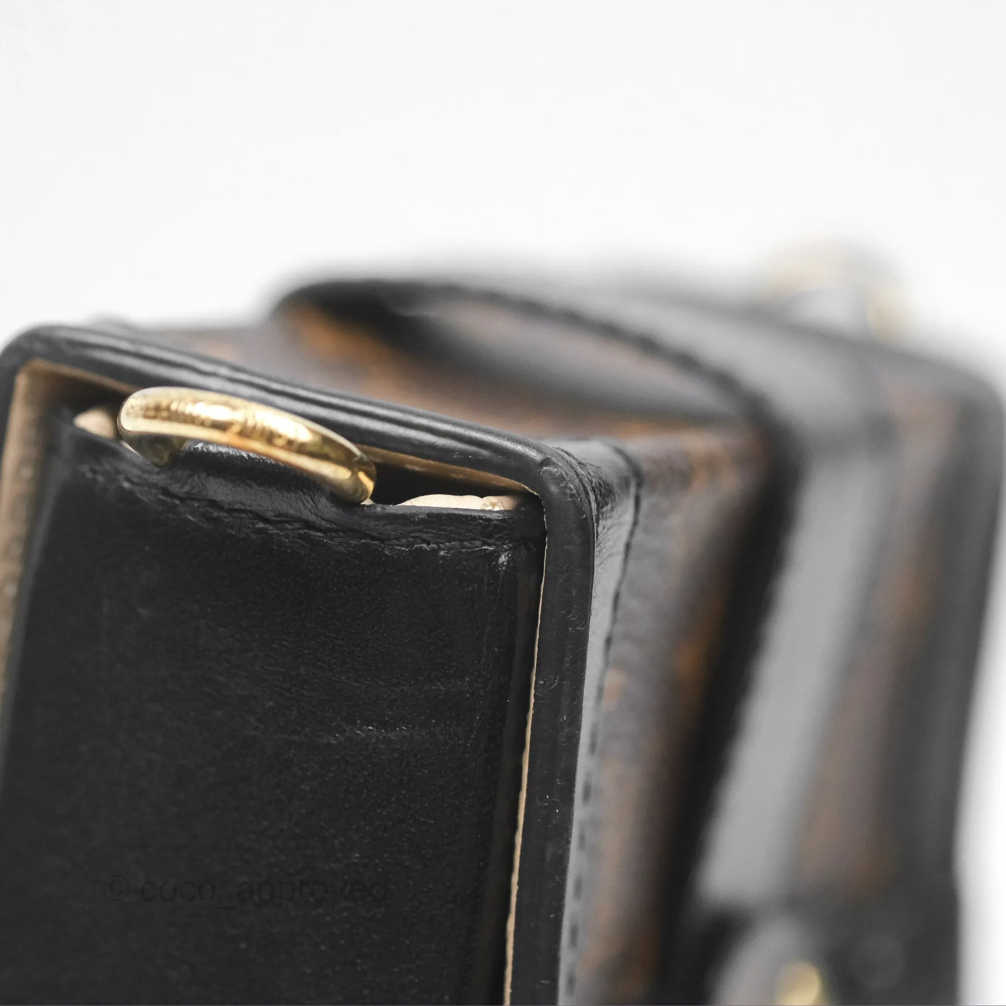 Louis Vuitton Monogram Vertical Trunk Pochette
