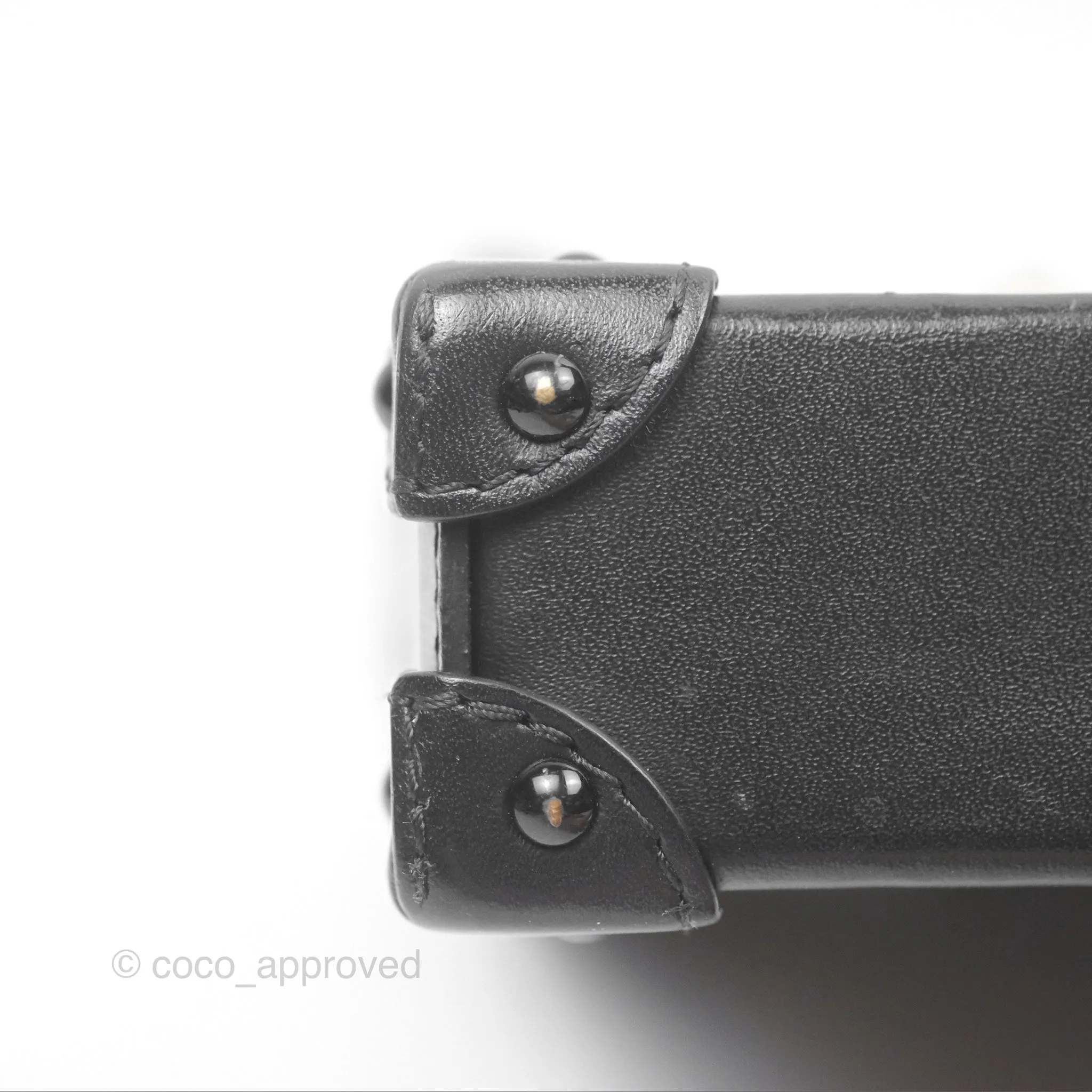 Louis Vuitton Monogram Vertical Trunk Pochette