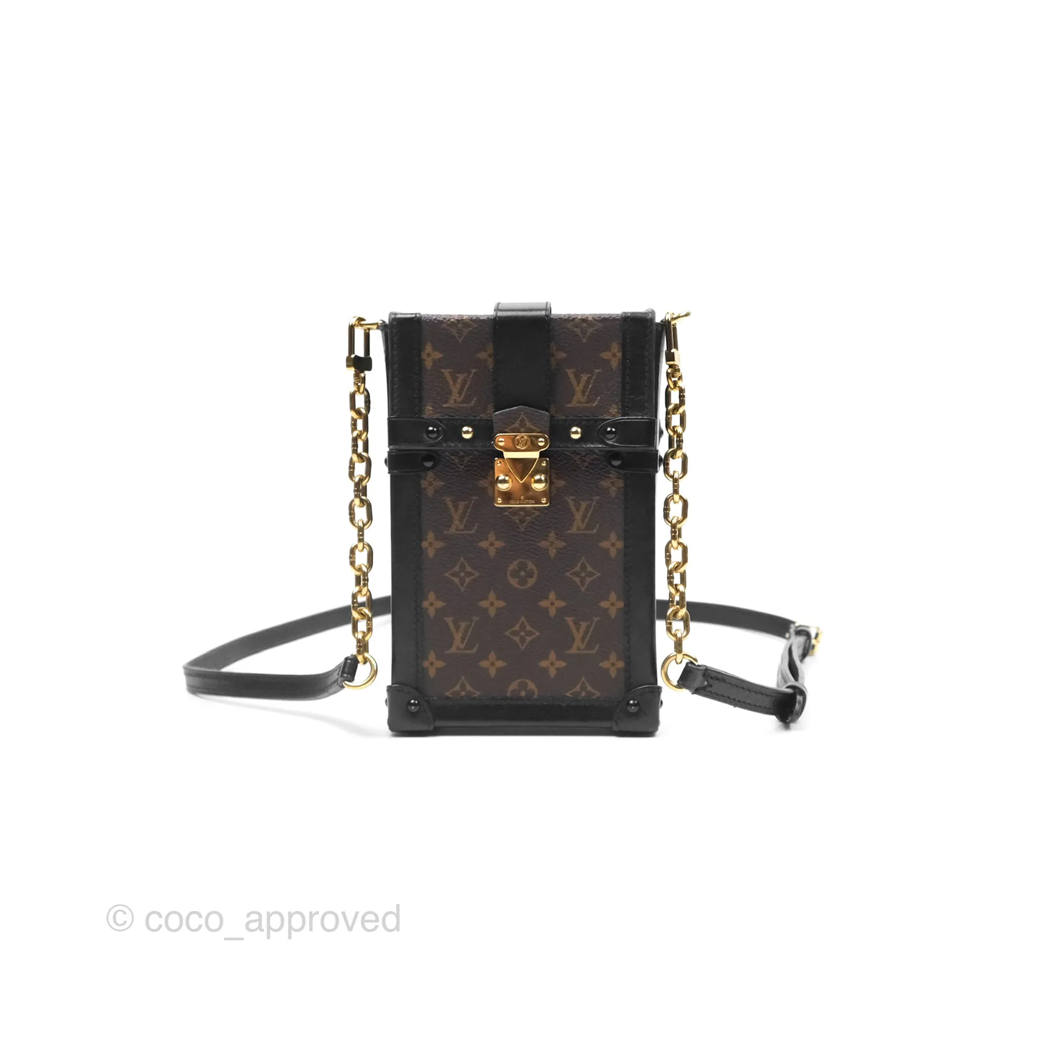 Louis Vuitton Monogram Vertical Trunk Pochette