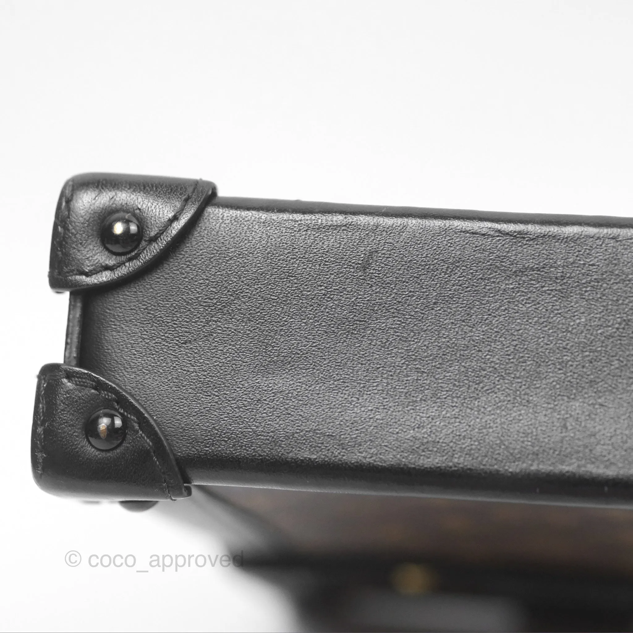 Louis Vuitton Monogram Vertical Trunk Pochette