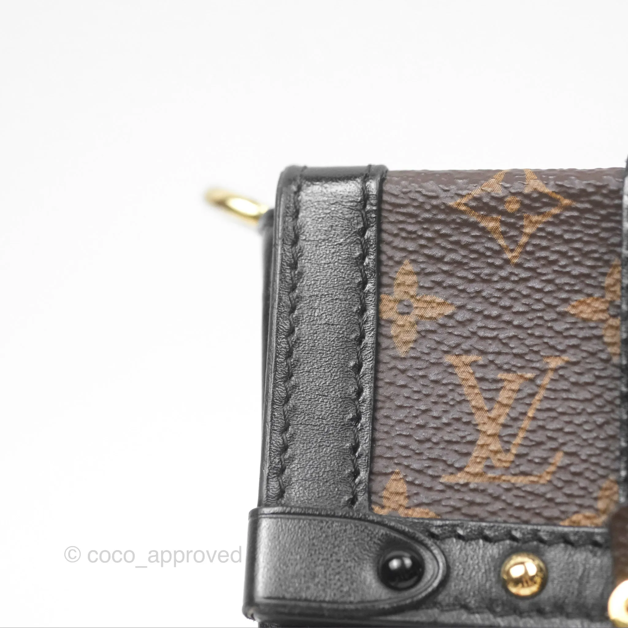 Louis Vuitton Monogram Vertical Trunk Pochette