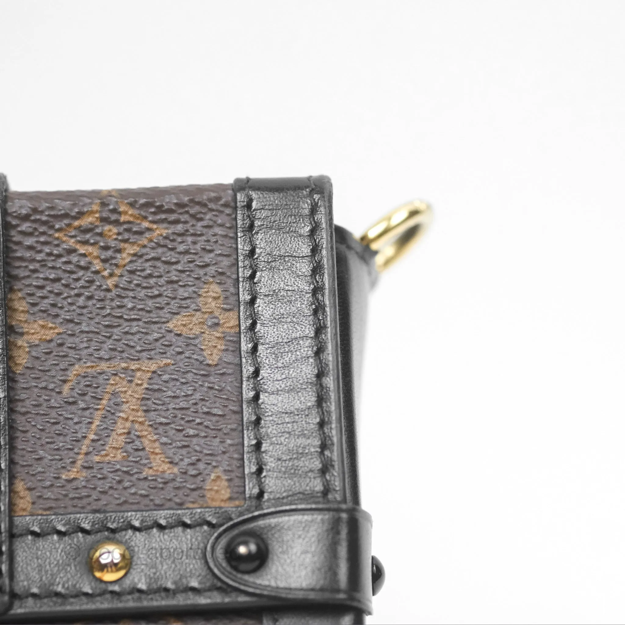 Louis Vuitton Monogram Vertical Trunk Pochette