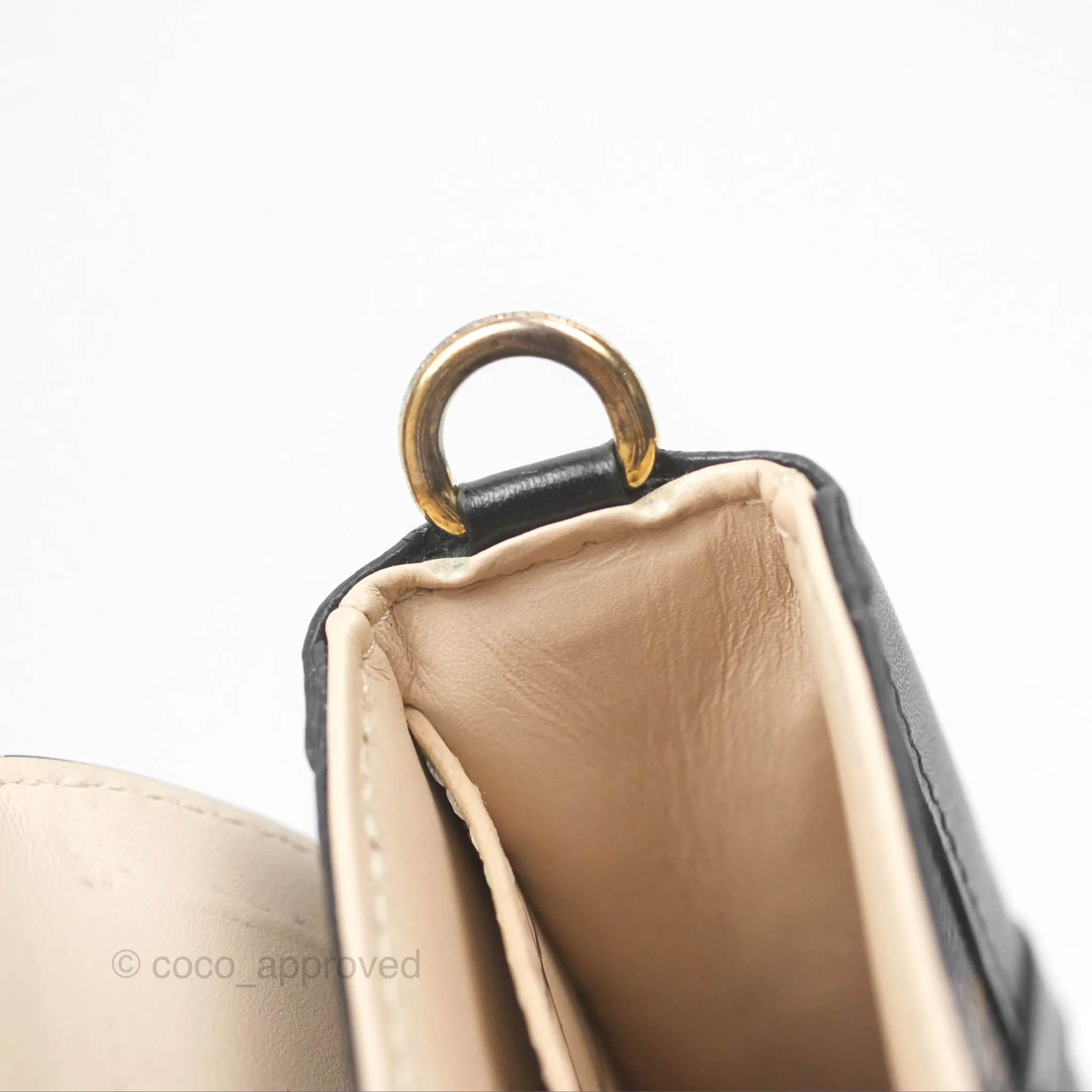 Louis Vuitton Monogram Vertical Trunk Pochette
