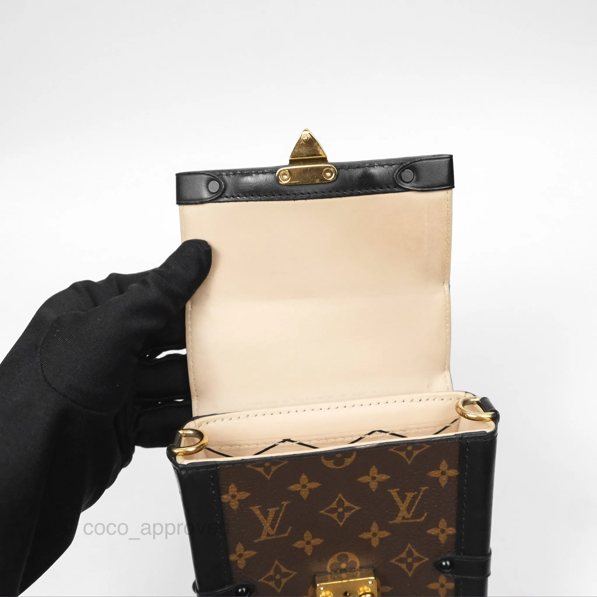 Louis Vuitton Monogram Vertical Trunk Pochette