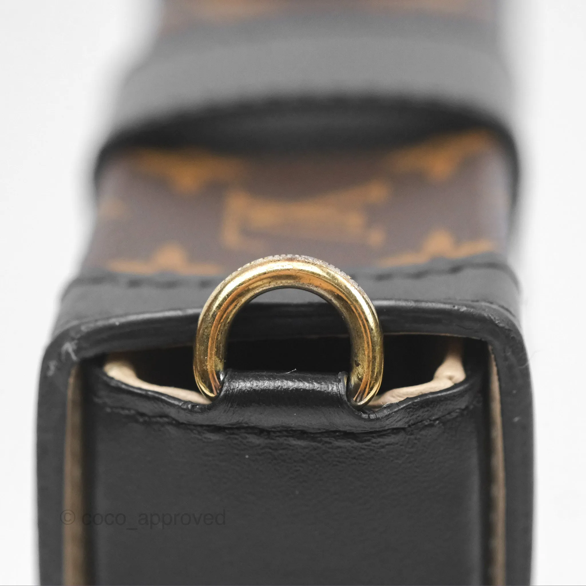 Louis Vuitton Monogram Vertical Trunk Pochette