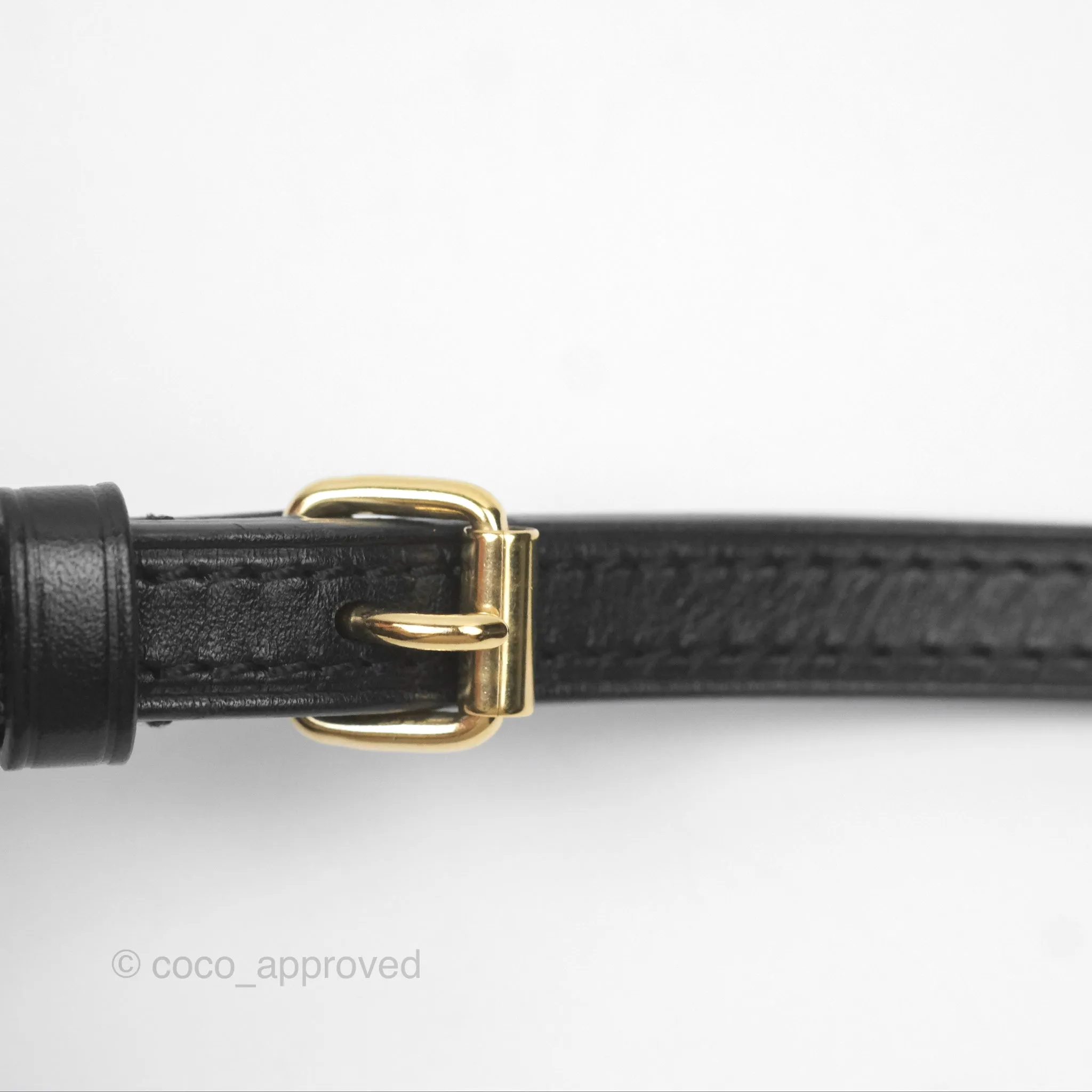 Louis Vuitton Monogram Vertical Trunk Pochette