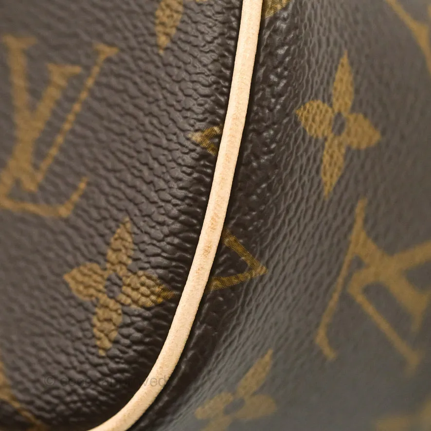 Louis Vuitton Nano Nice Monogram with Twilly