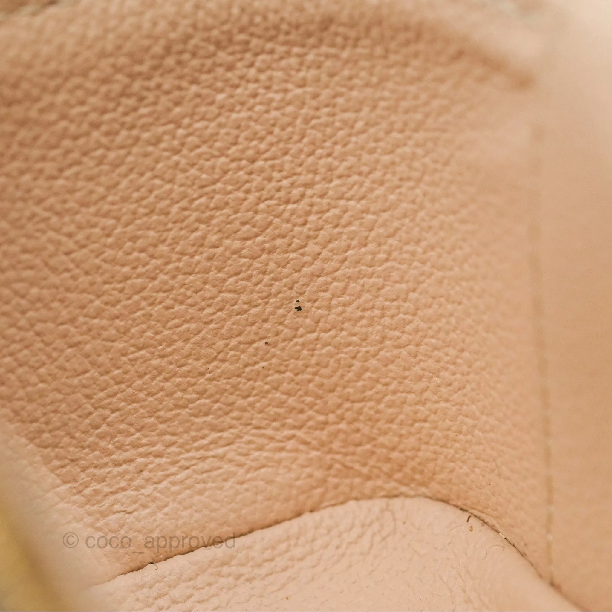 Louis Vuitton Nano Nice Monogram