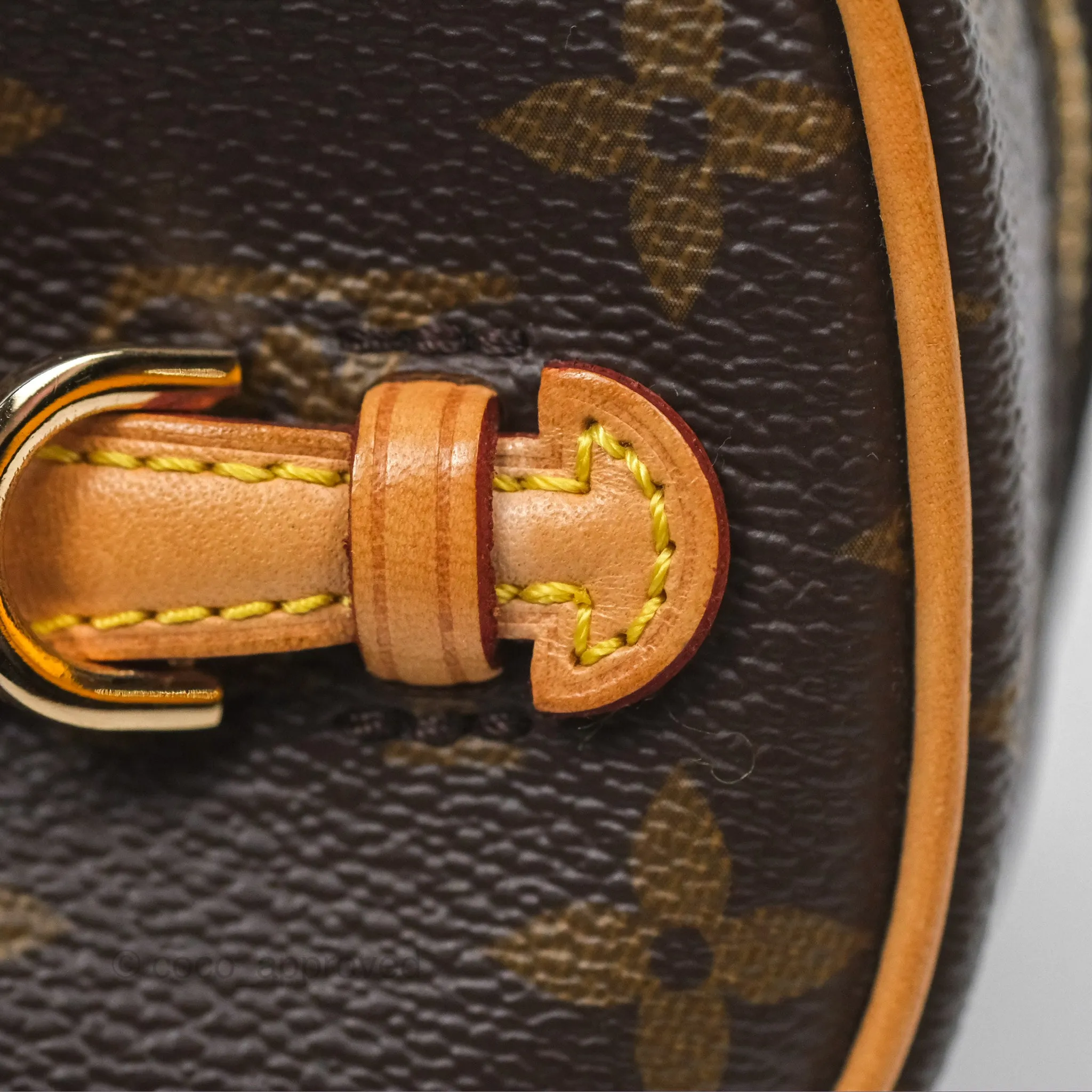 Louis Vuitton Nano Nice Monogram