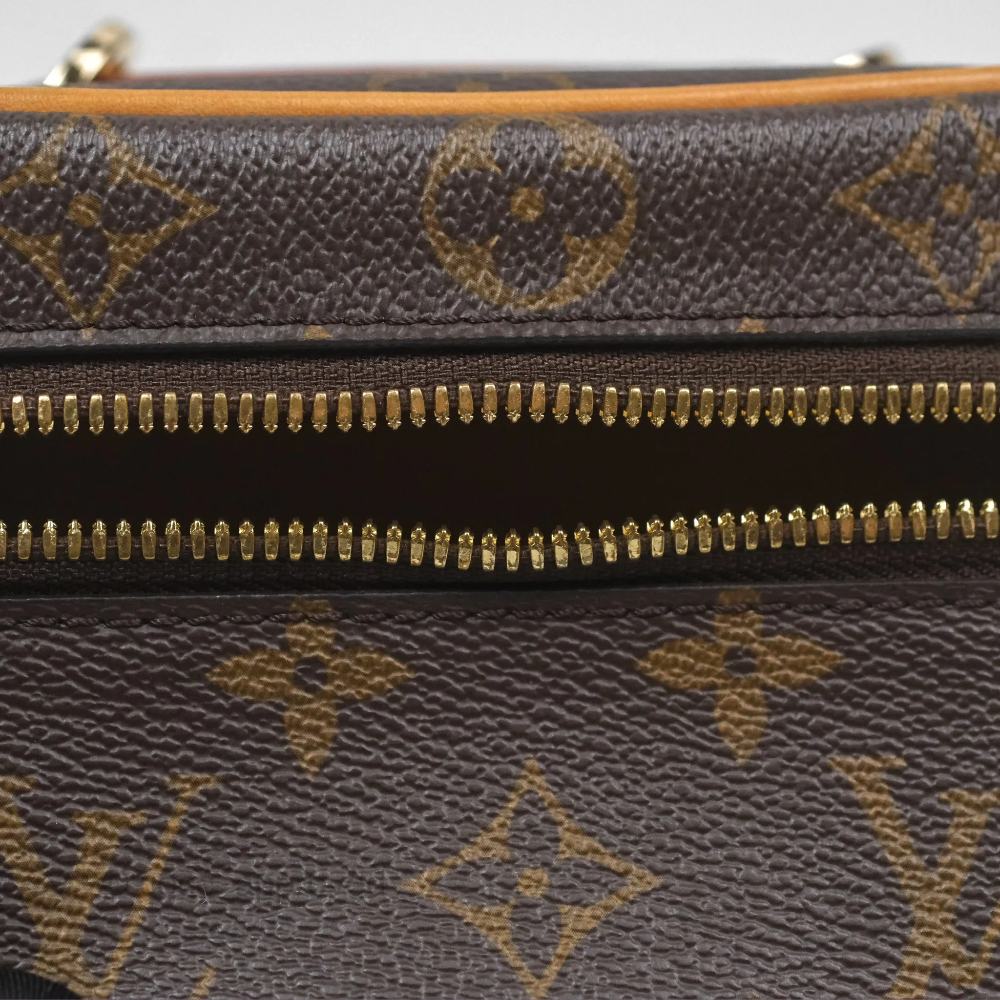Louis Vuitton Nano Nice Monogram