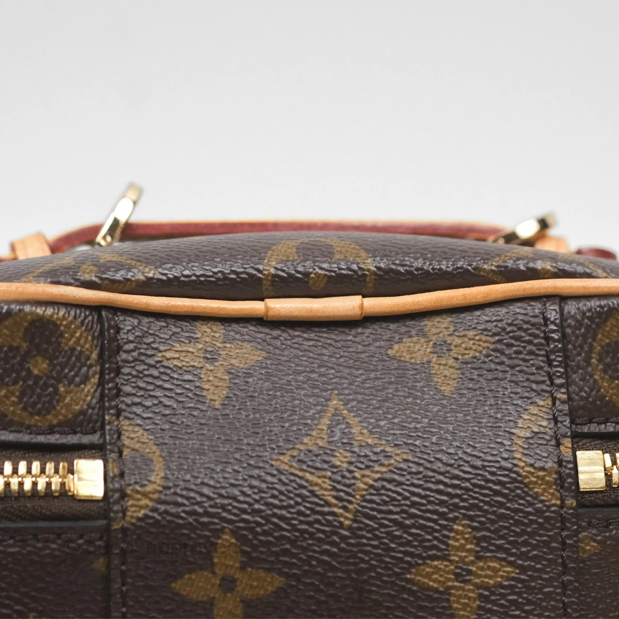 Louis Vuitton Nano Nice Monogram