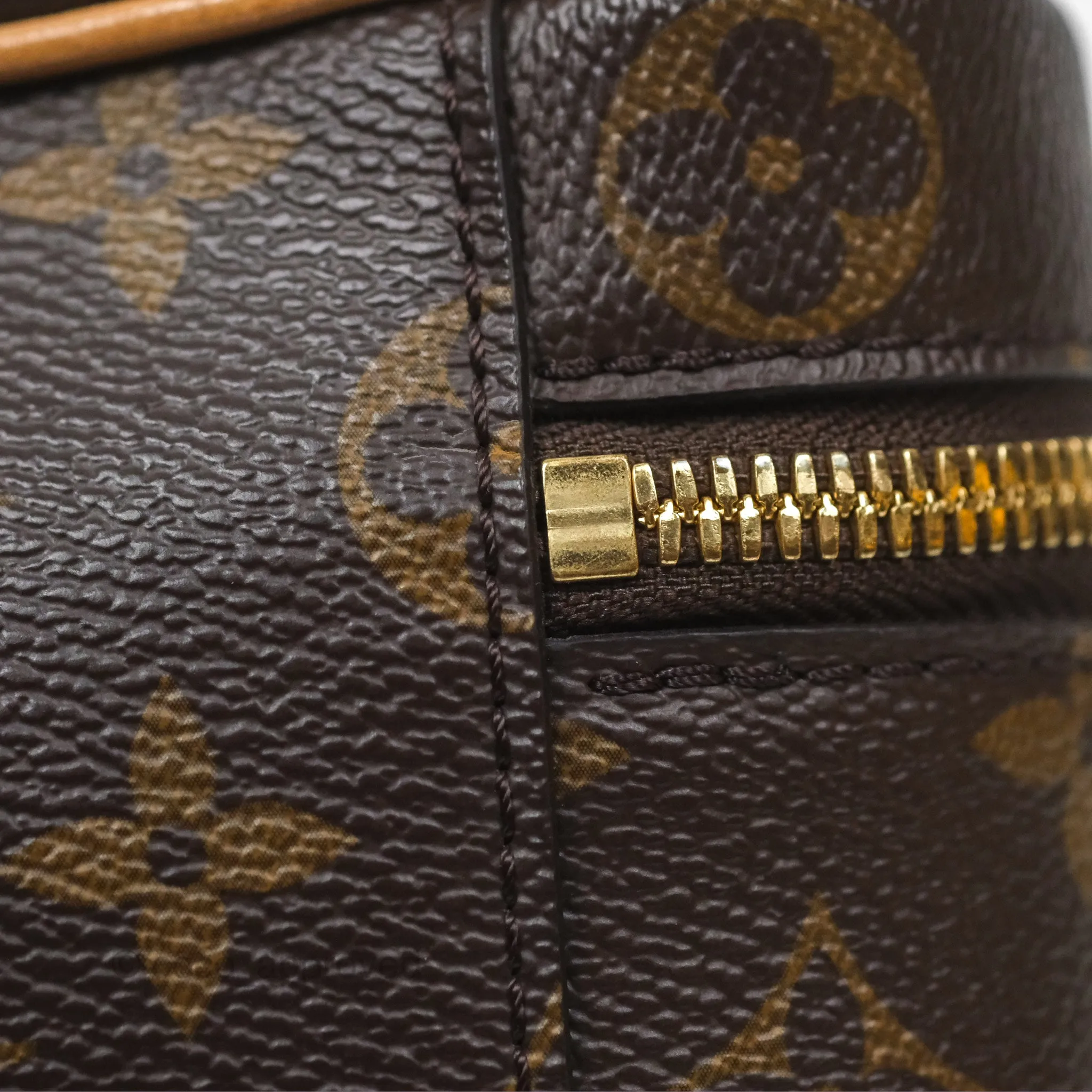 Louis Vuitton Nano Nice Monogram