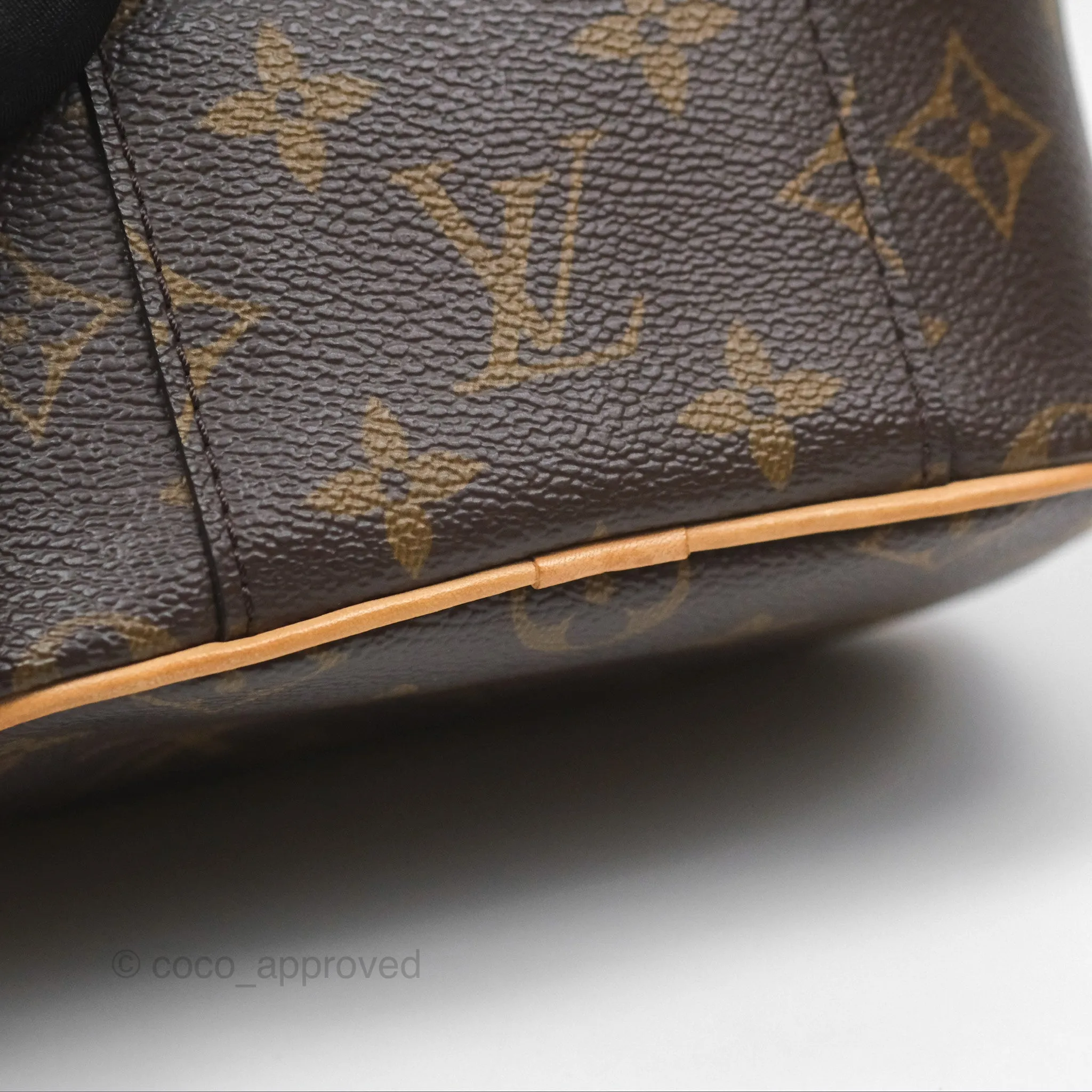 Louis Vuitton Nano Nice Monogram