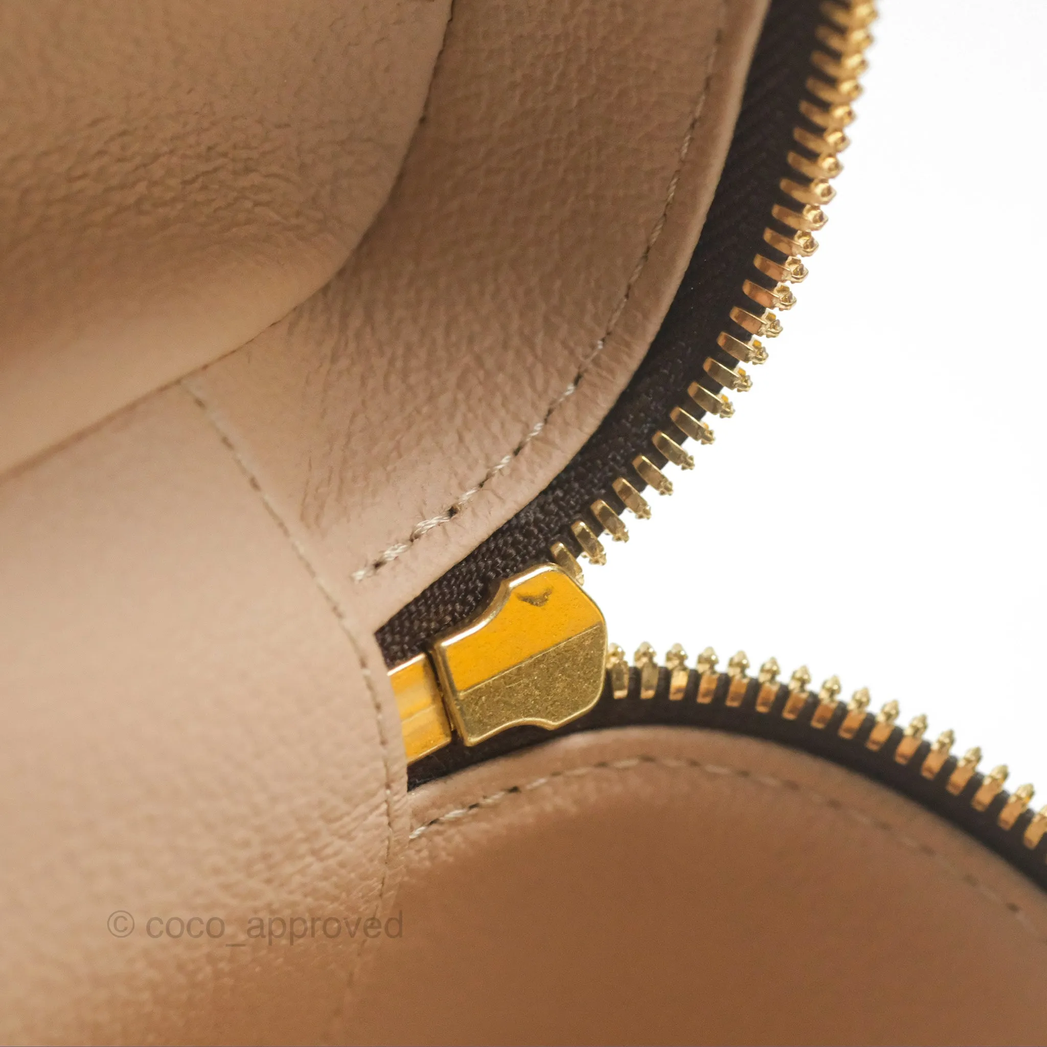 Louis Vuitton Nano Nice Monogram