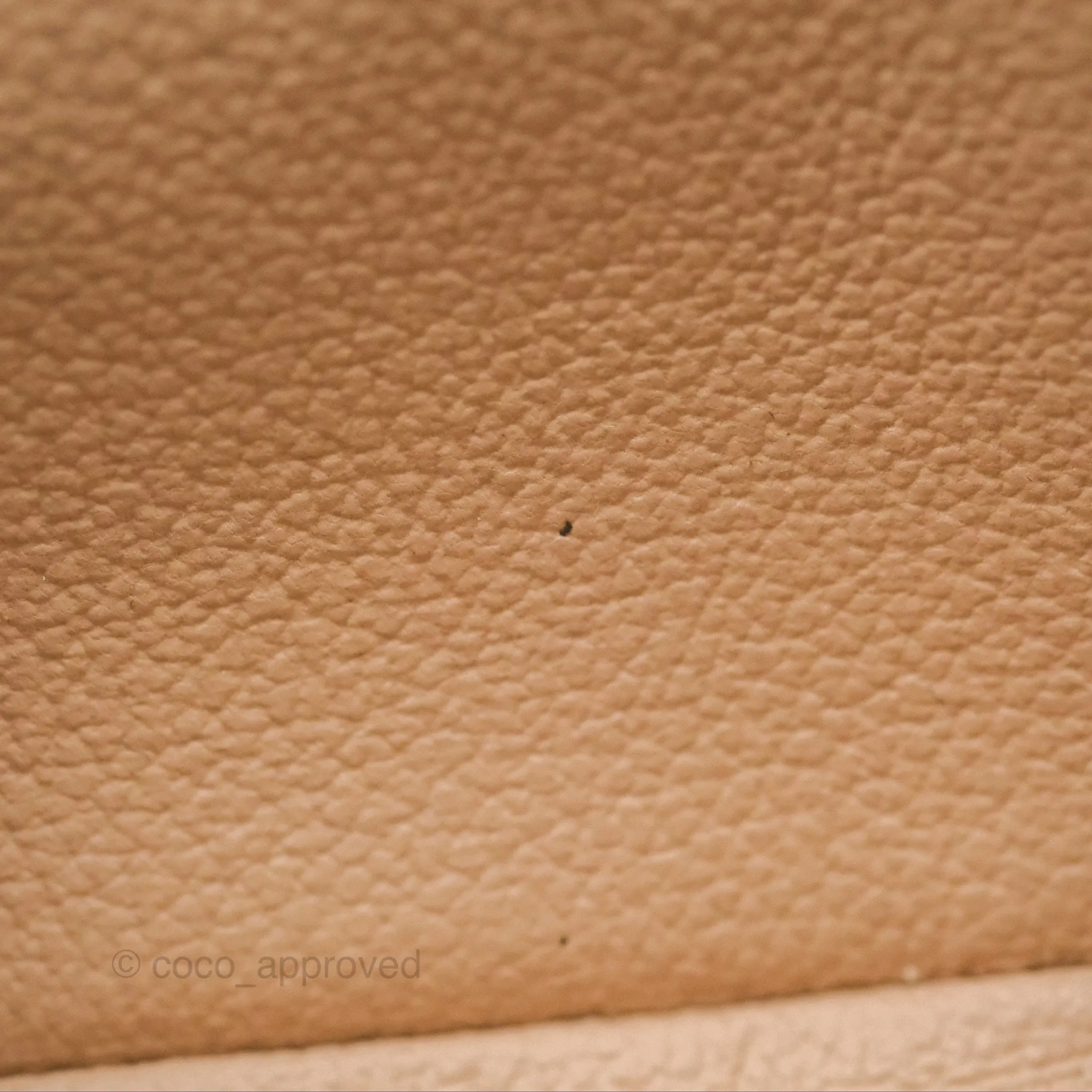 Louis Vuitton Nano Nice Monogram