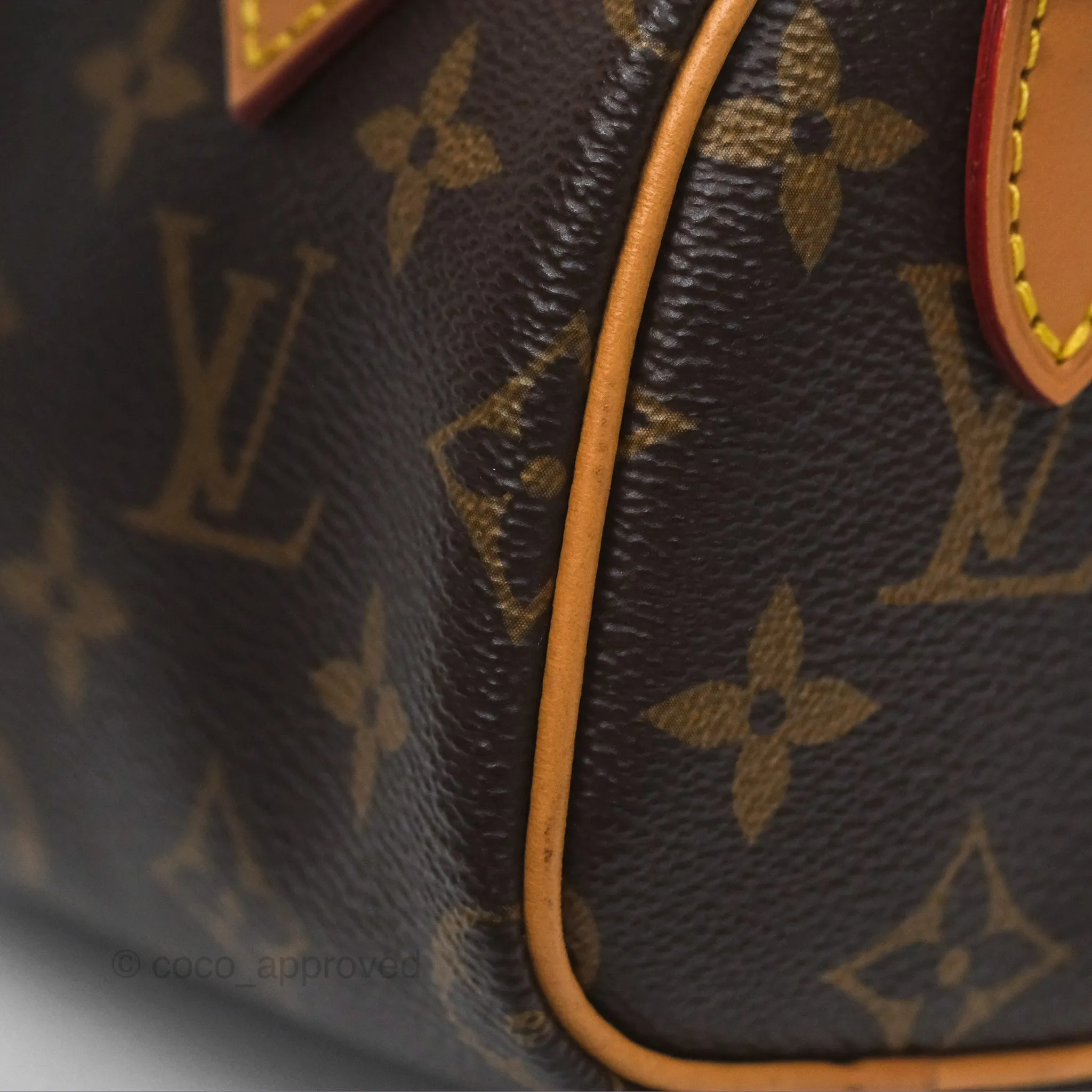 Louis Vuitton Nano Speedy Monogram