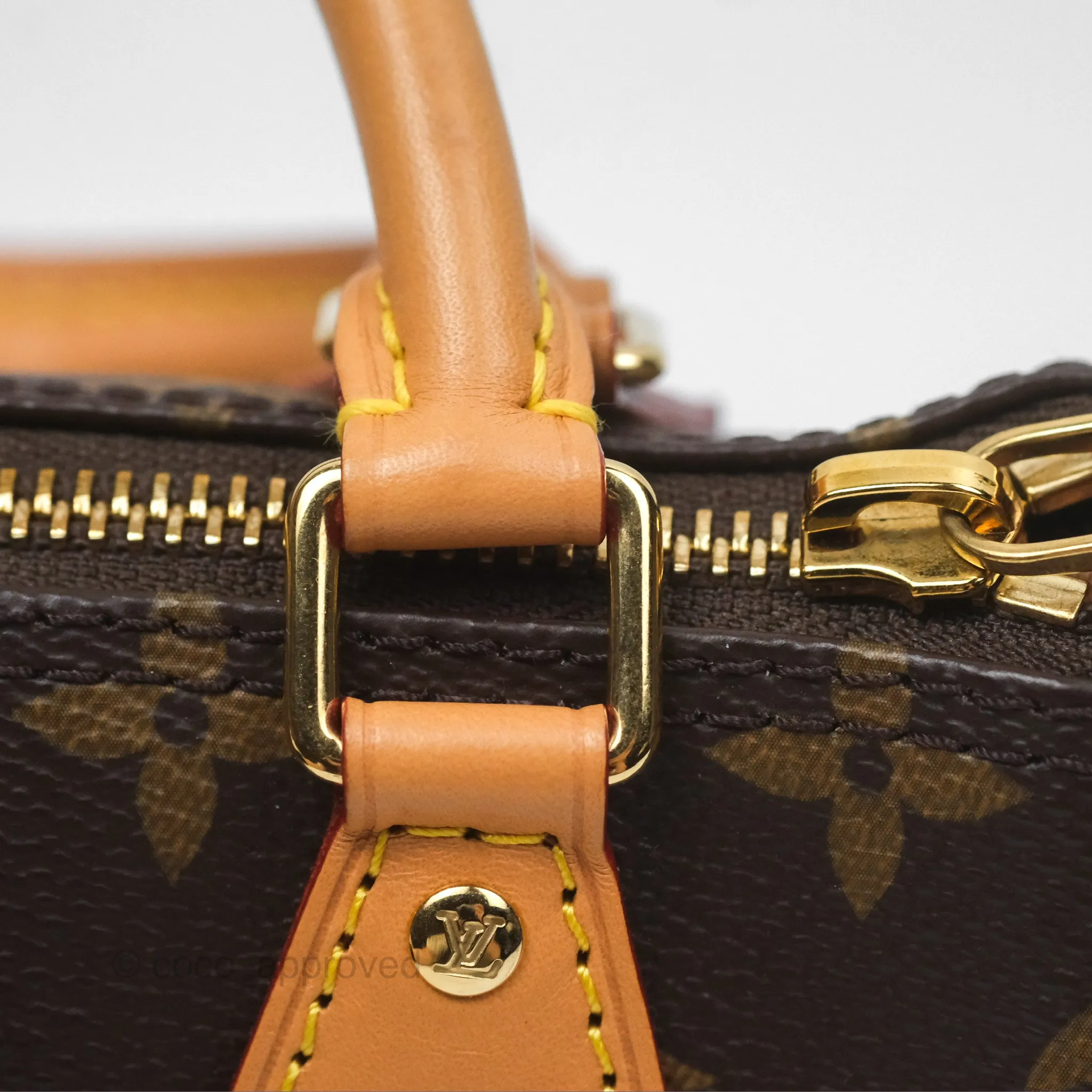 Louis Vuitton Nano Speedy Monogram