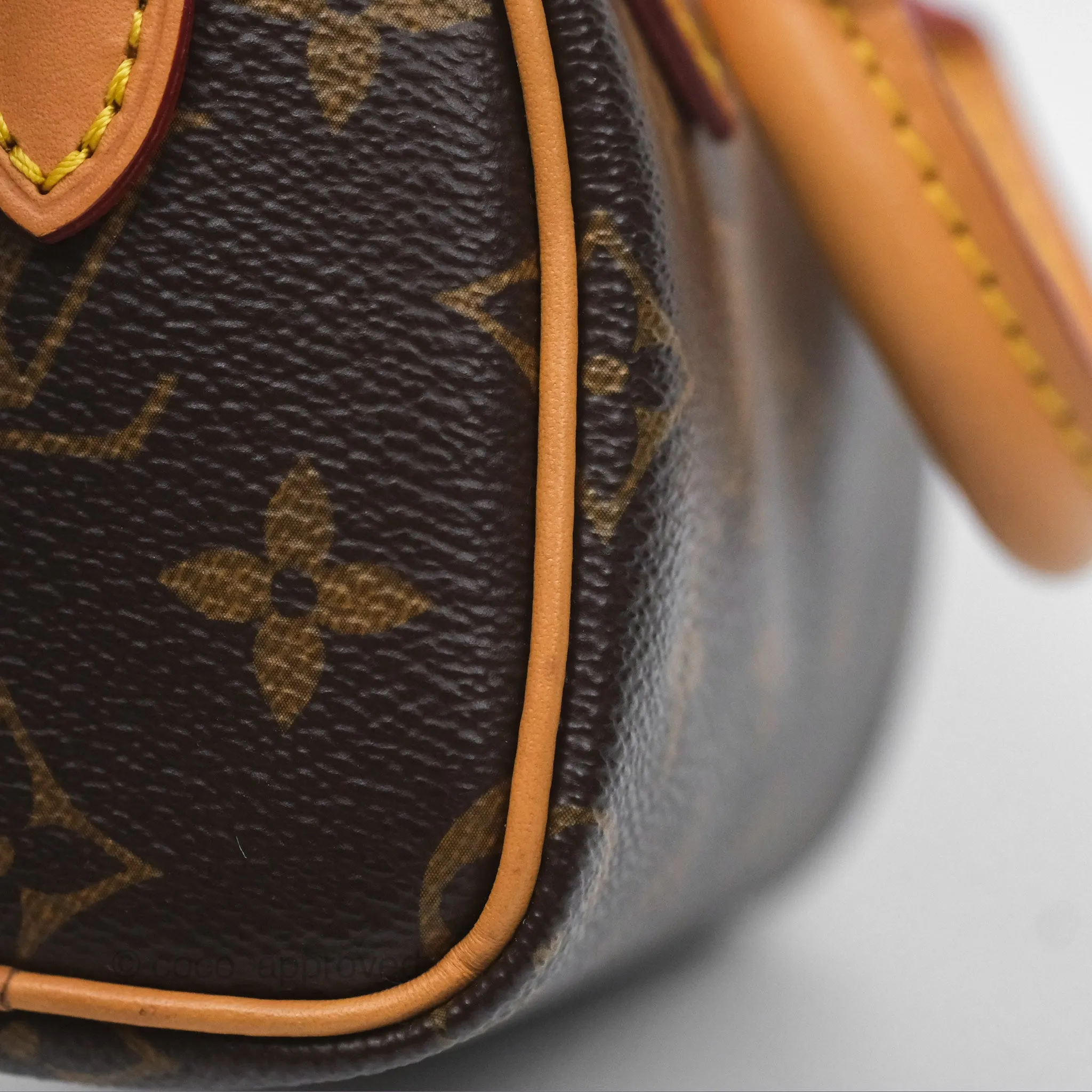 Louis Vuitton Nano Speedy Monogram