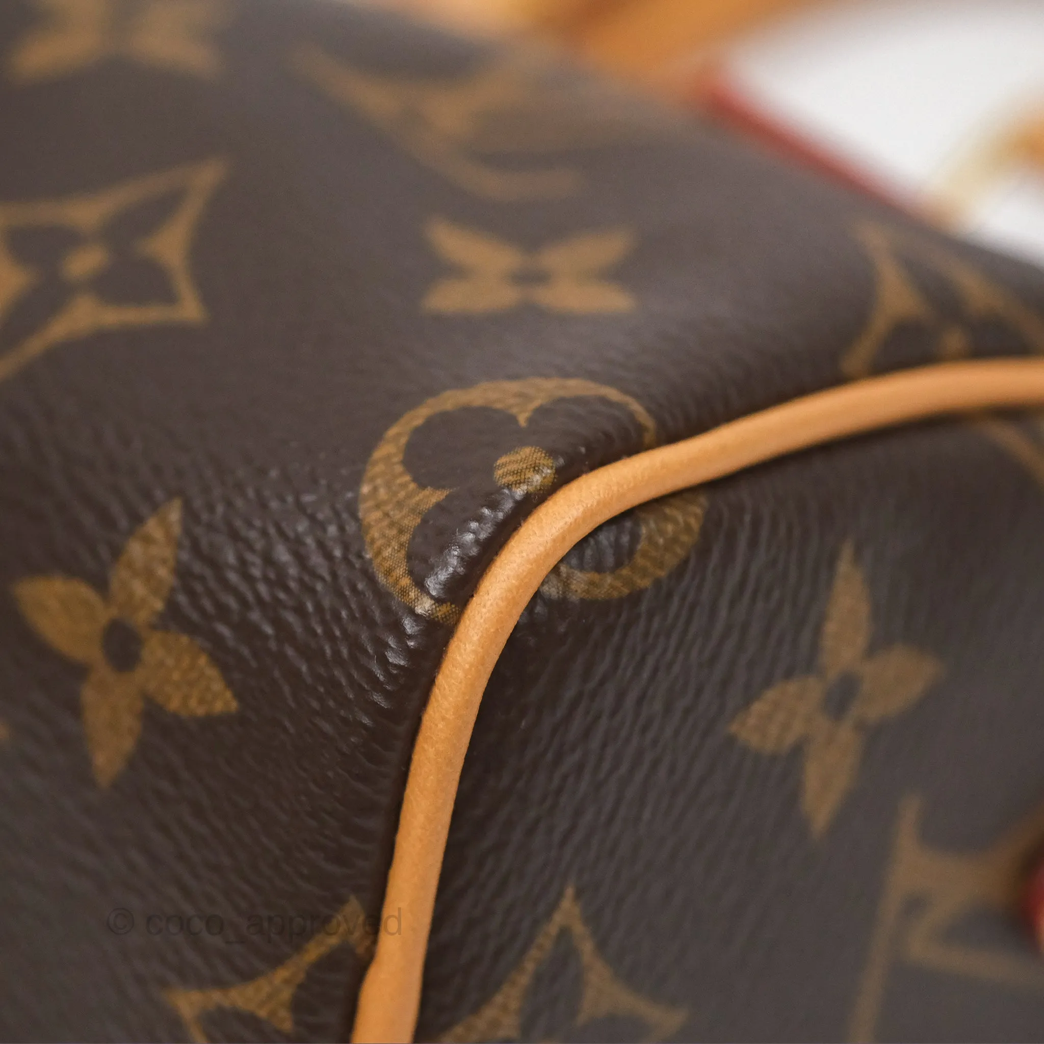 Louis Vuitton Nano Speedy Monogram