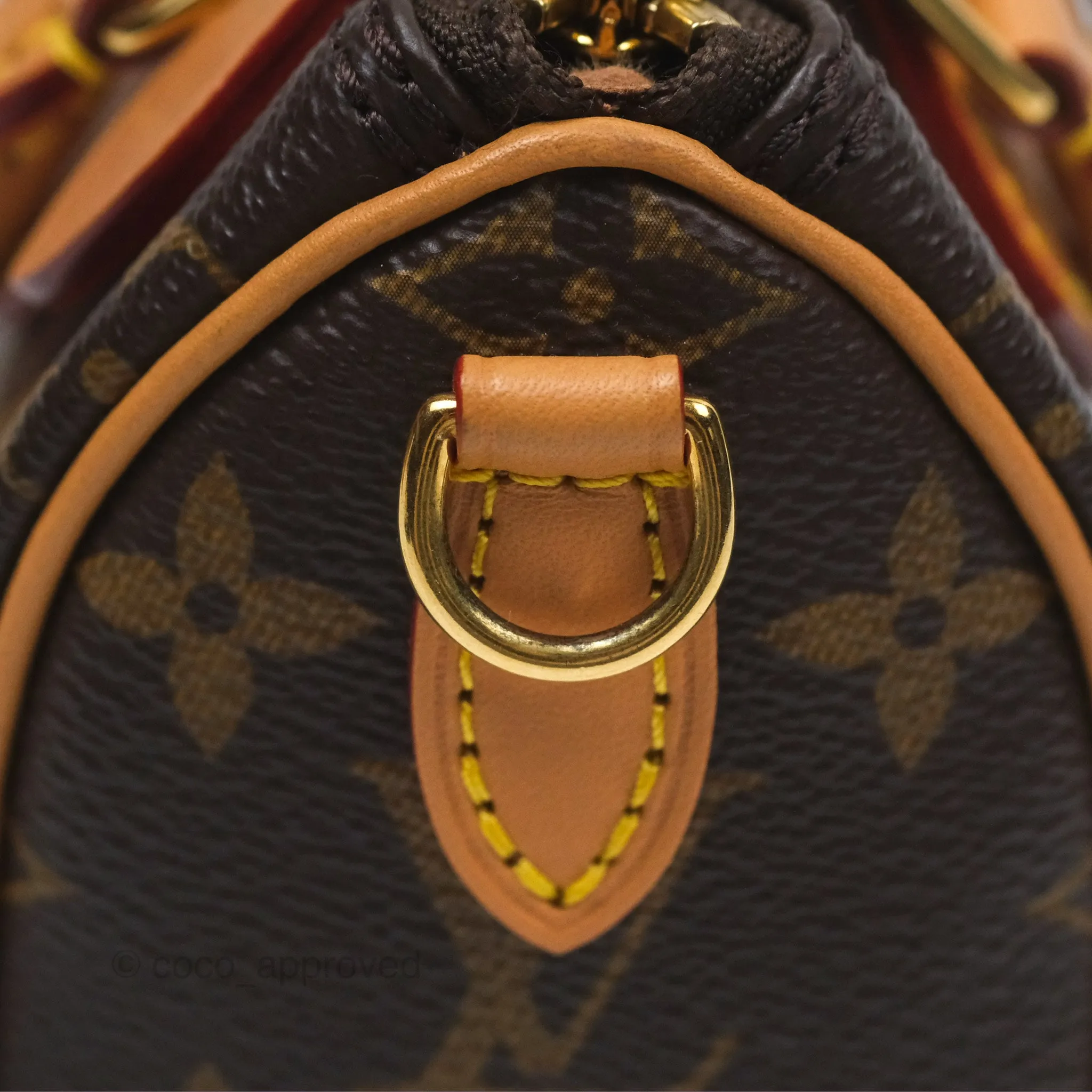 Louis Vuitton Nano Speedy Monogram