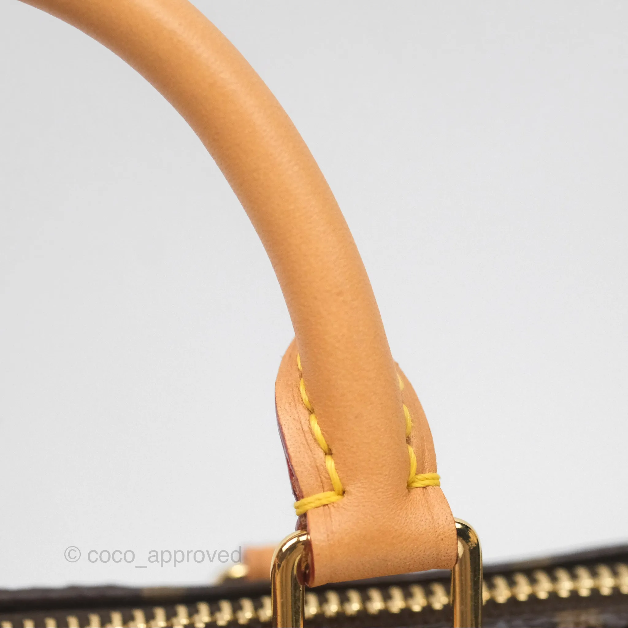 Louis Vuitton Nano Speedy Monogram