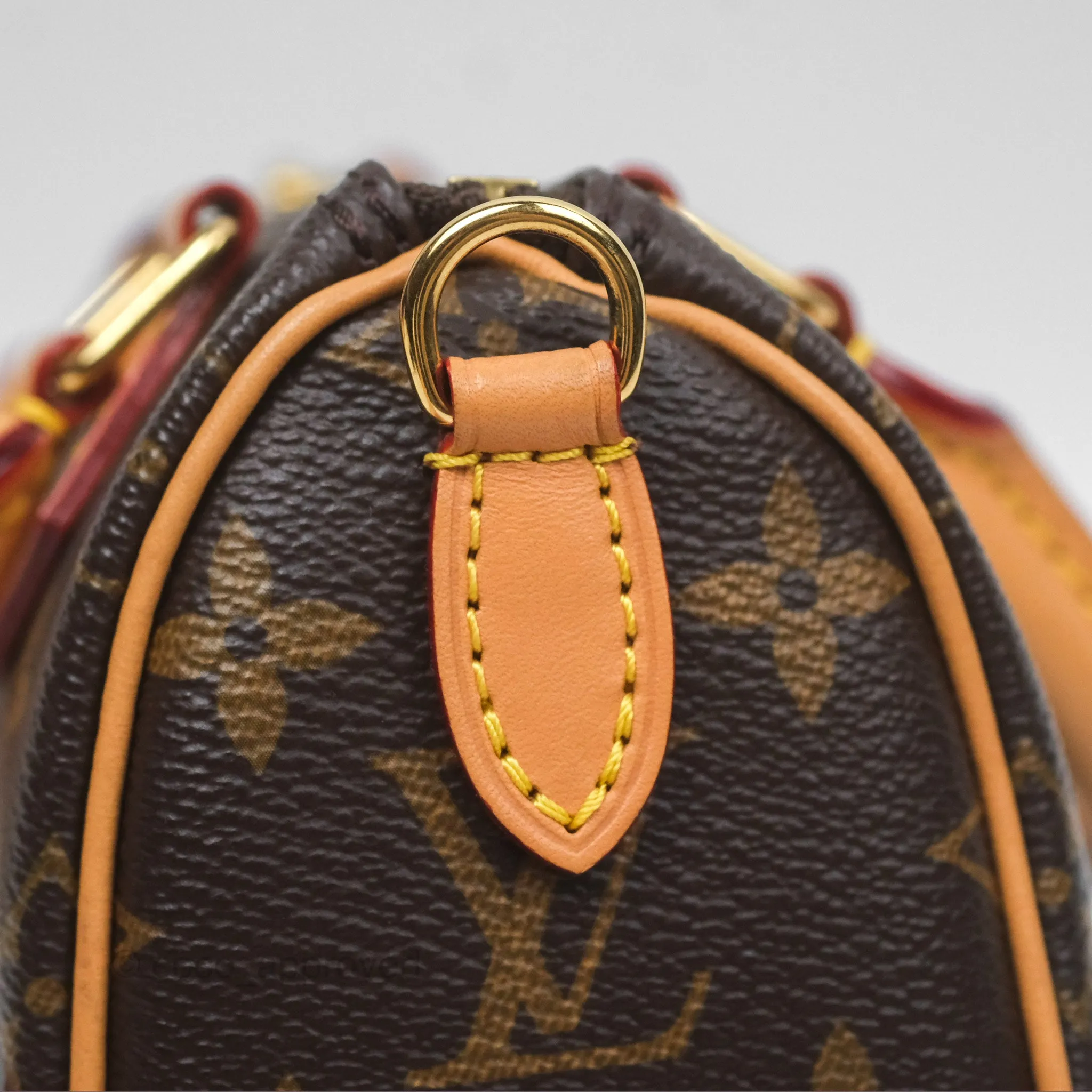 Louis Vuitton Nano Speedy Monogram