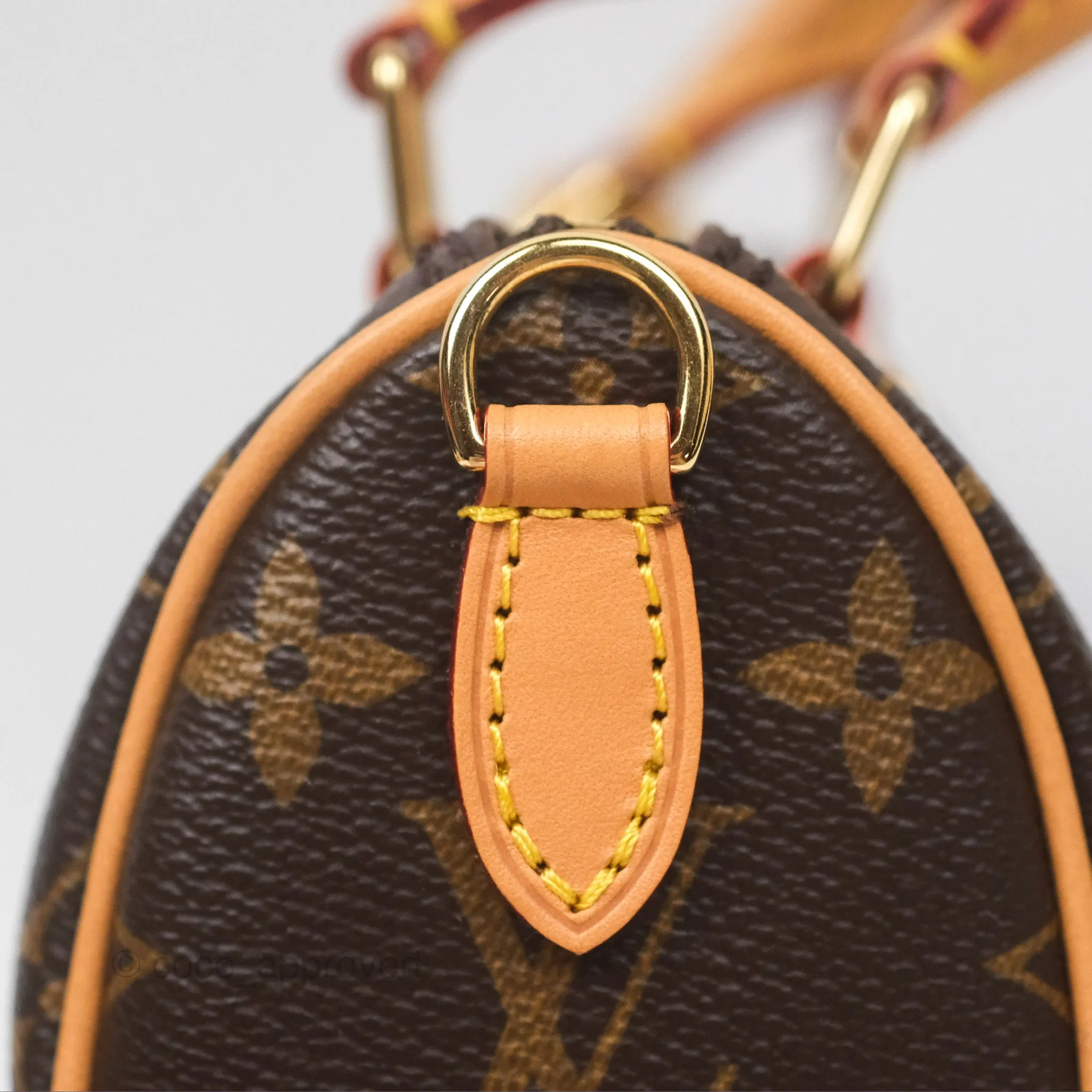 Louis Vuitton Nano Speedy Monogram