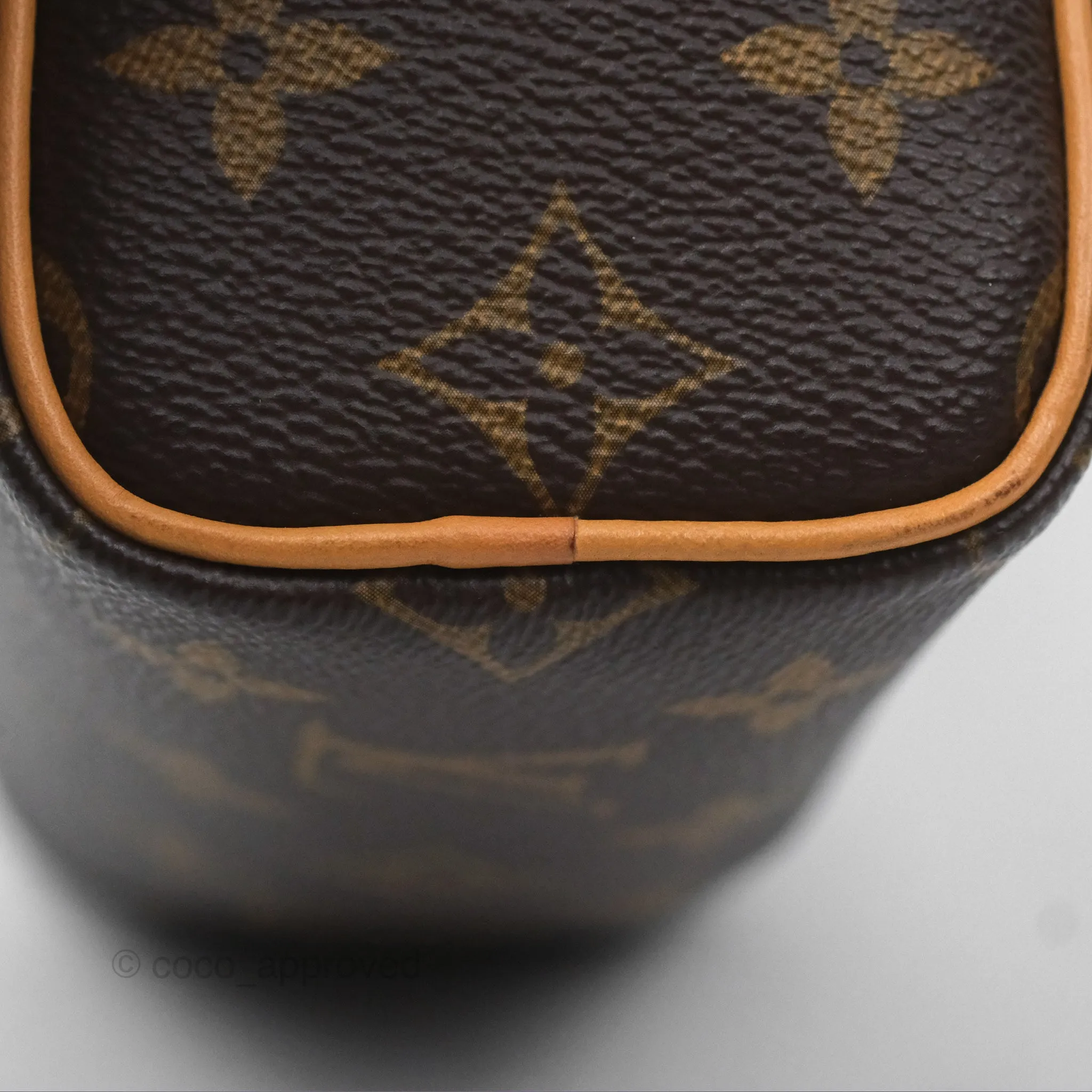 Louis Vuitton Nano Speedy Monogram
