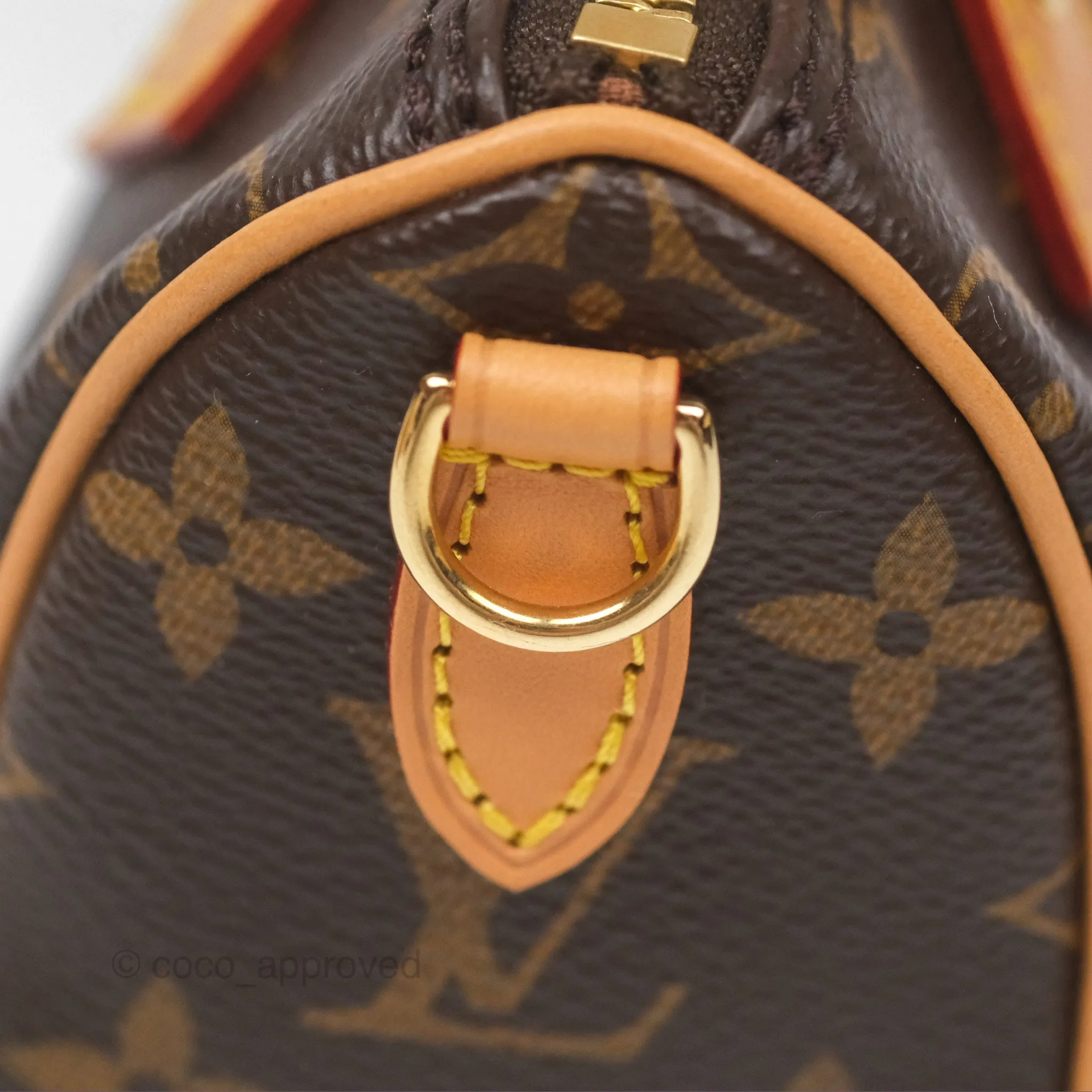 Louis Vuitton Nano Speedy Monogram