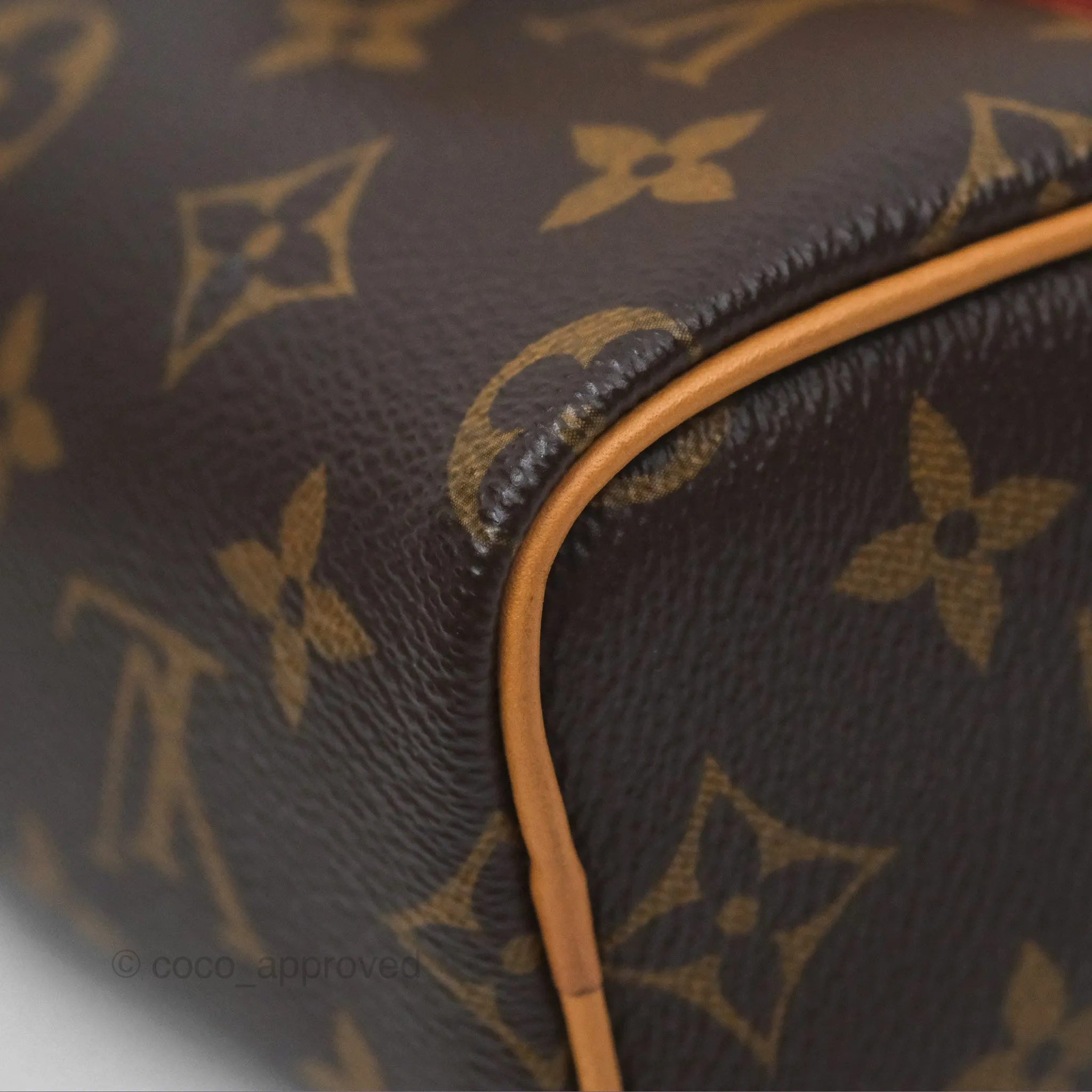 Louis Vuitton Nano Speedy Monogram