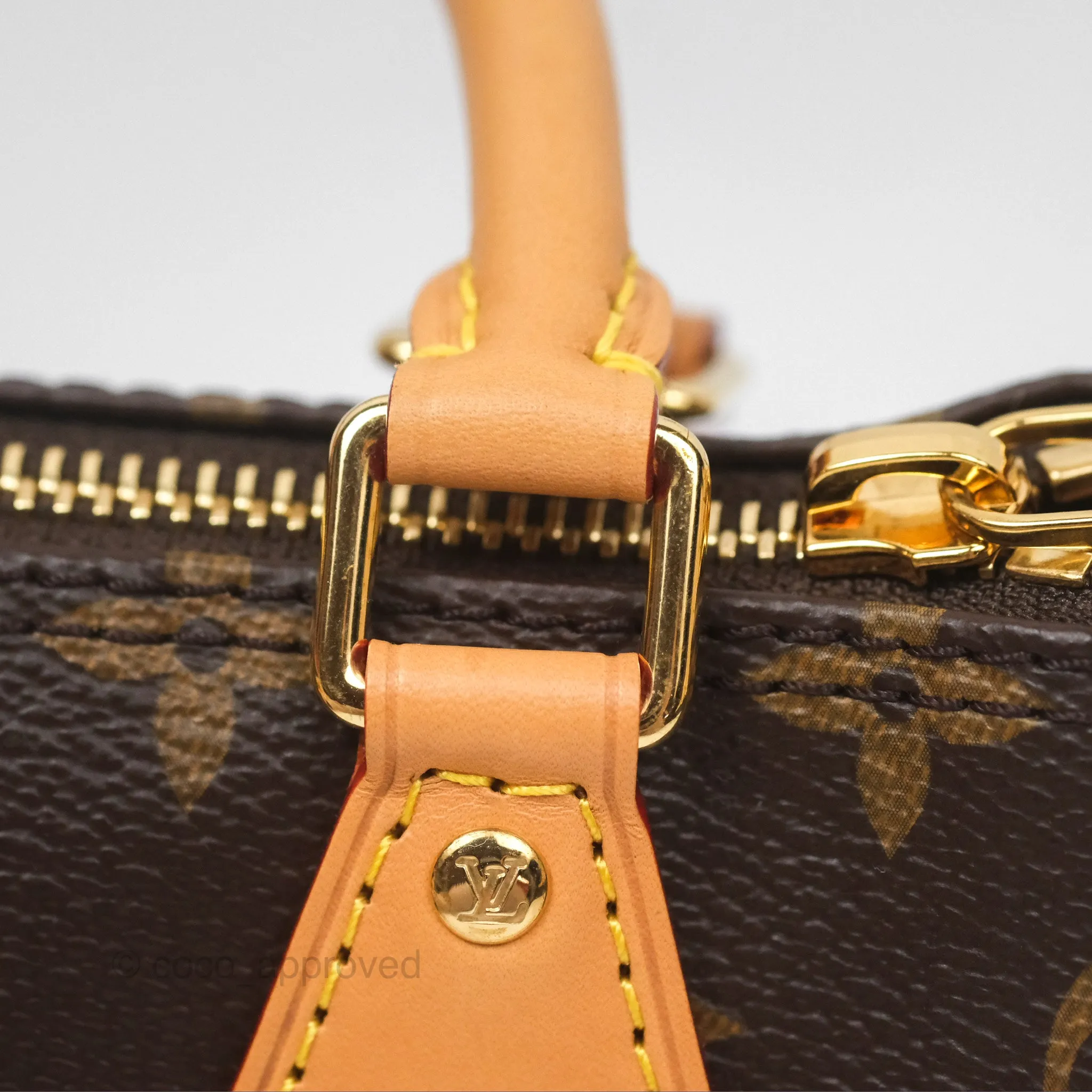 Louis Vuitton Nano Speedy Monogram