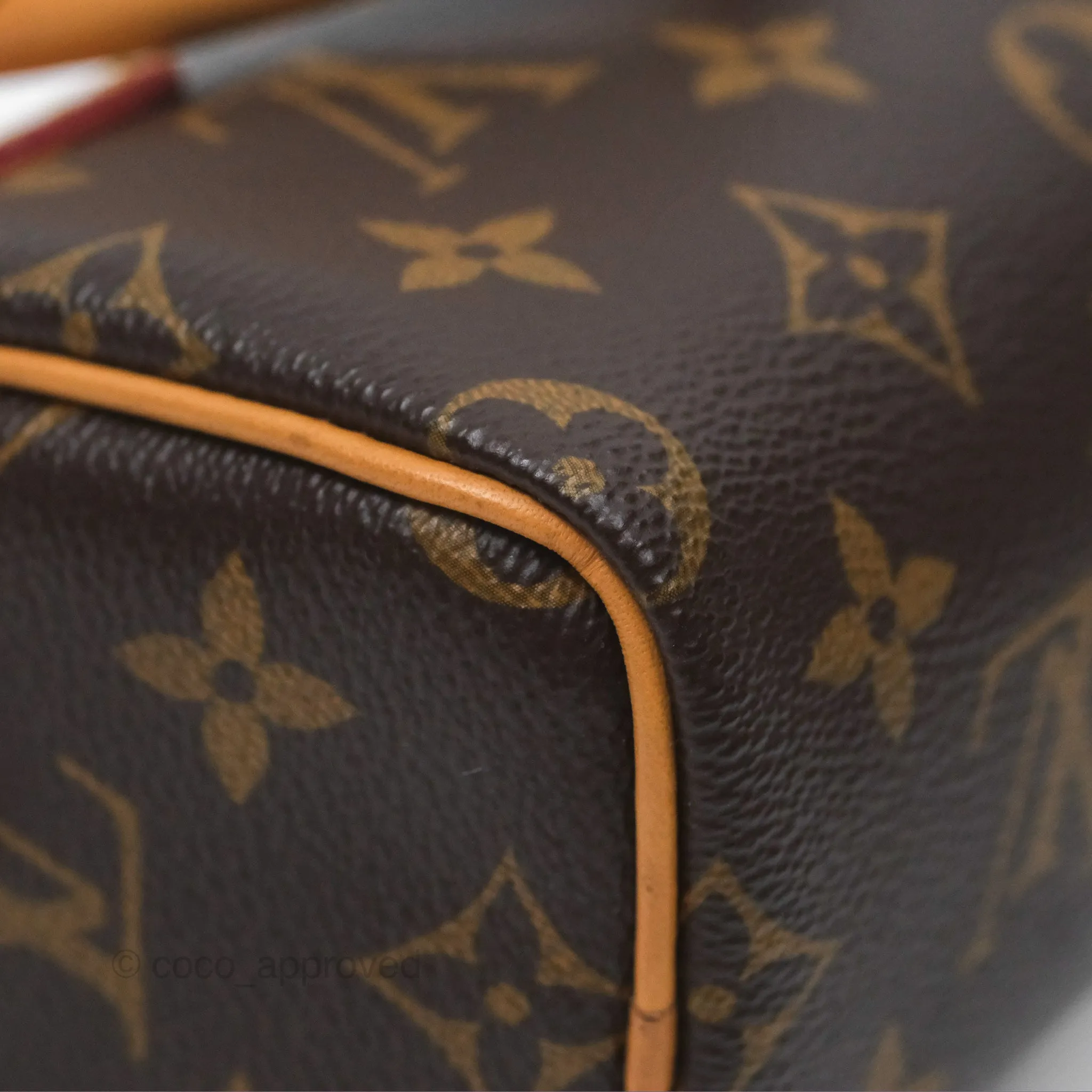 Louis Vuitton Nano Speedy Monogram