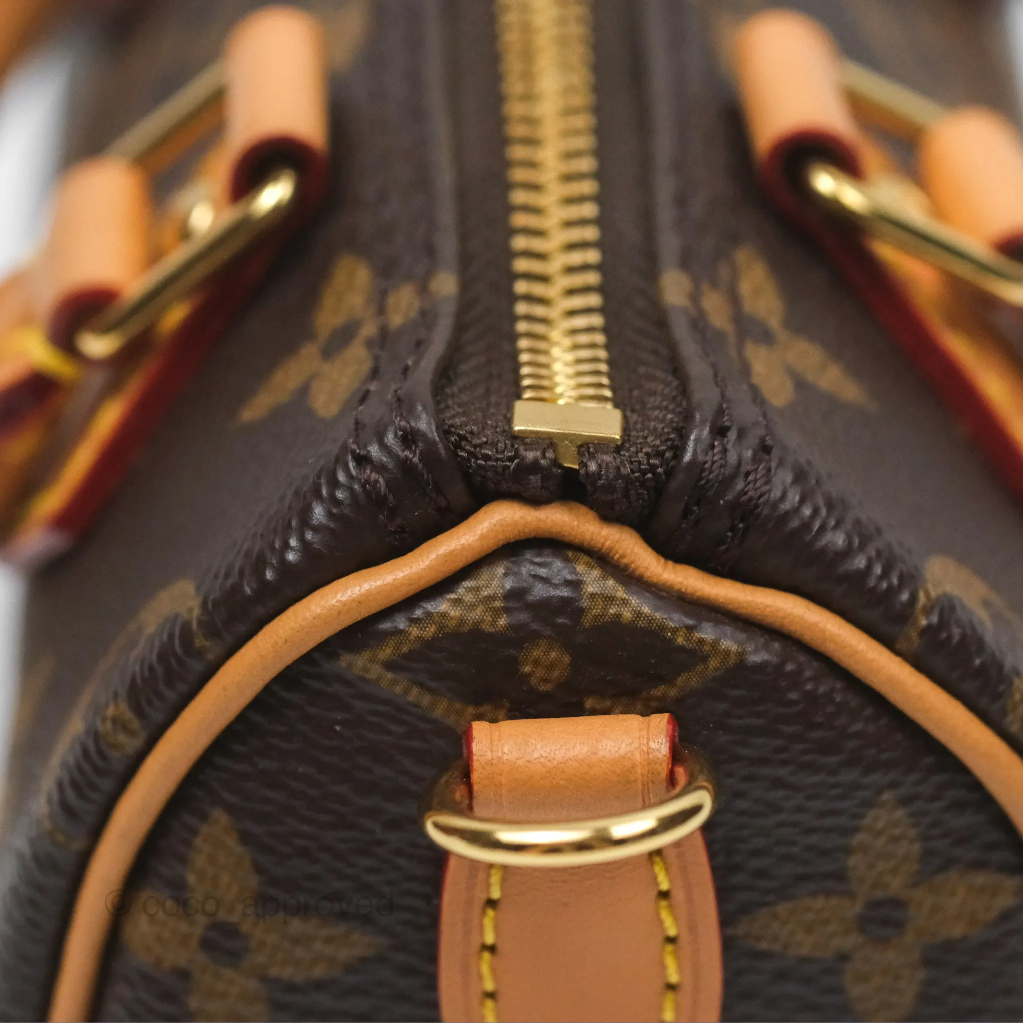 Louis Vuitton Nano Speedy Monogram