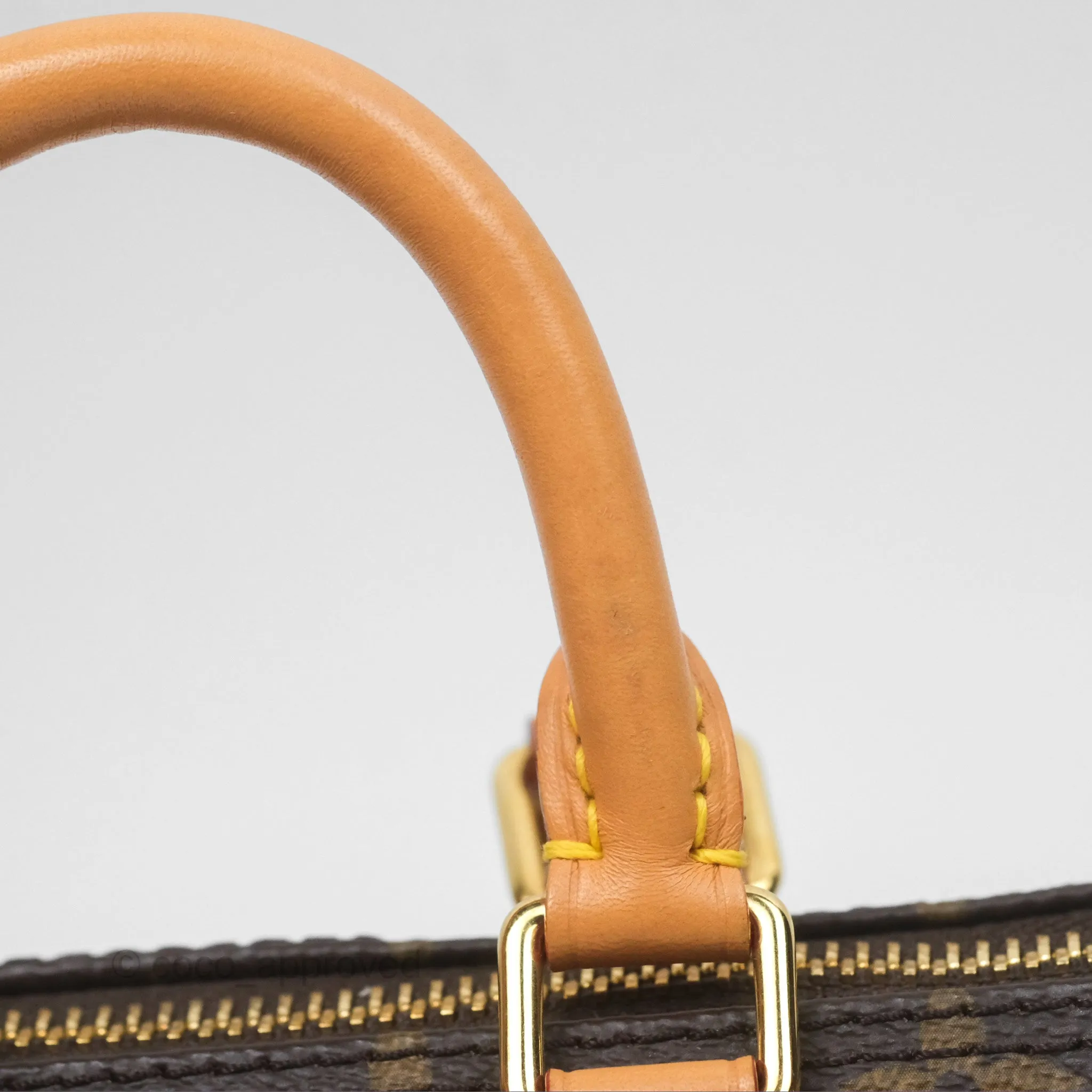 Louis Vuitton Nano Speedy Monogram
