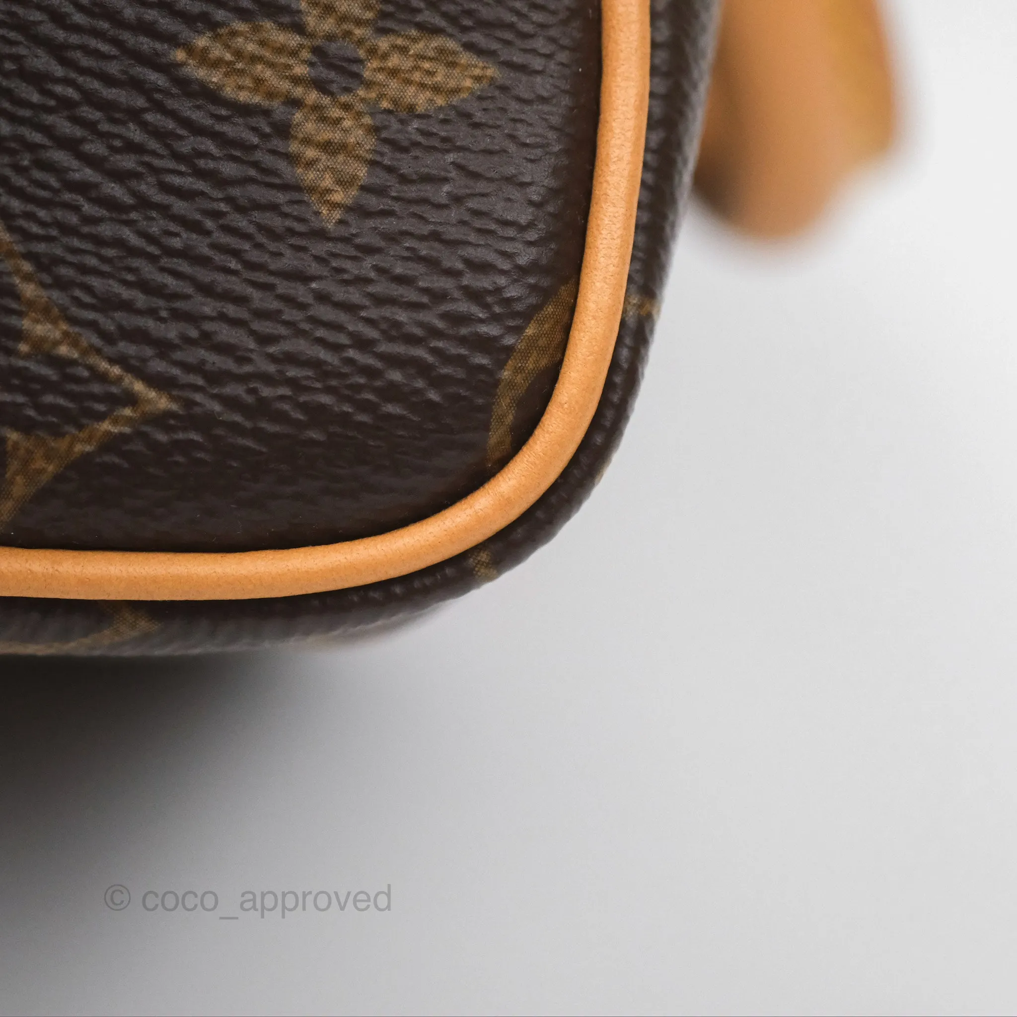 Louis Vuitton Nano Speedy Monogram