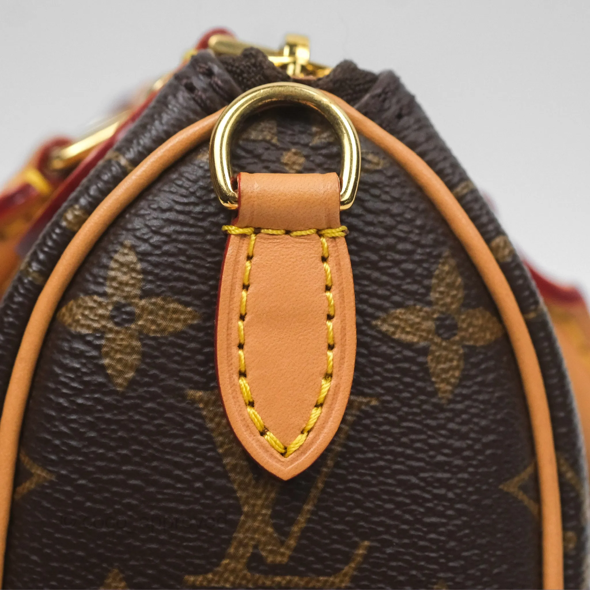 Louis Vuitton Nano Speedy Monogram