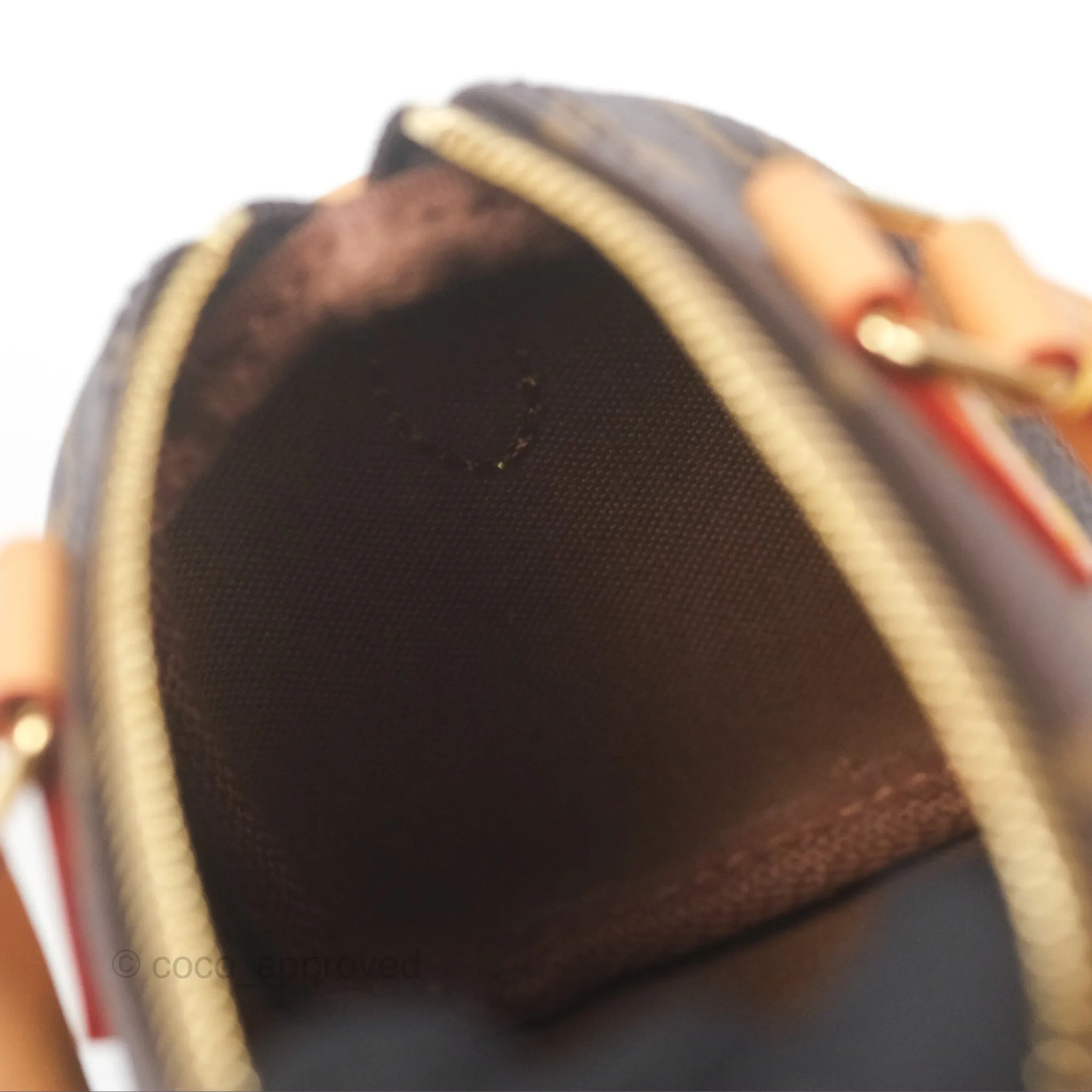 Louis Vuitton Nano Speedy Monogram