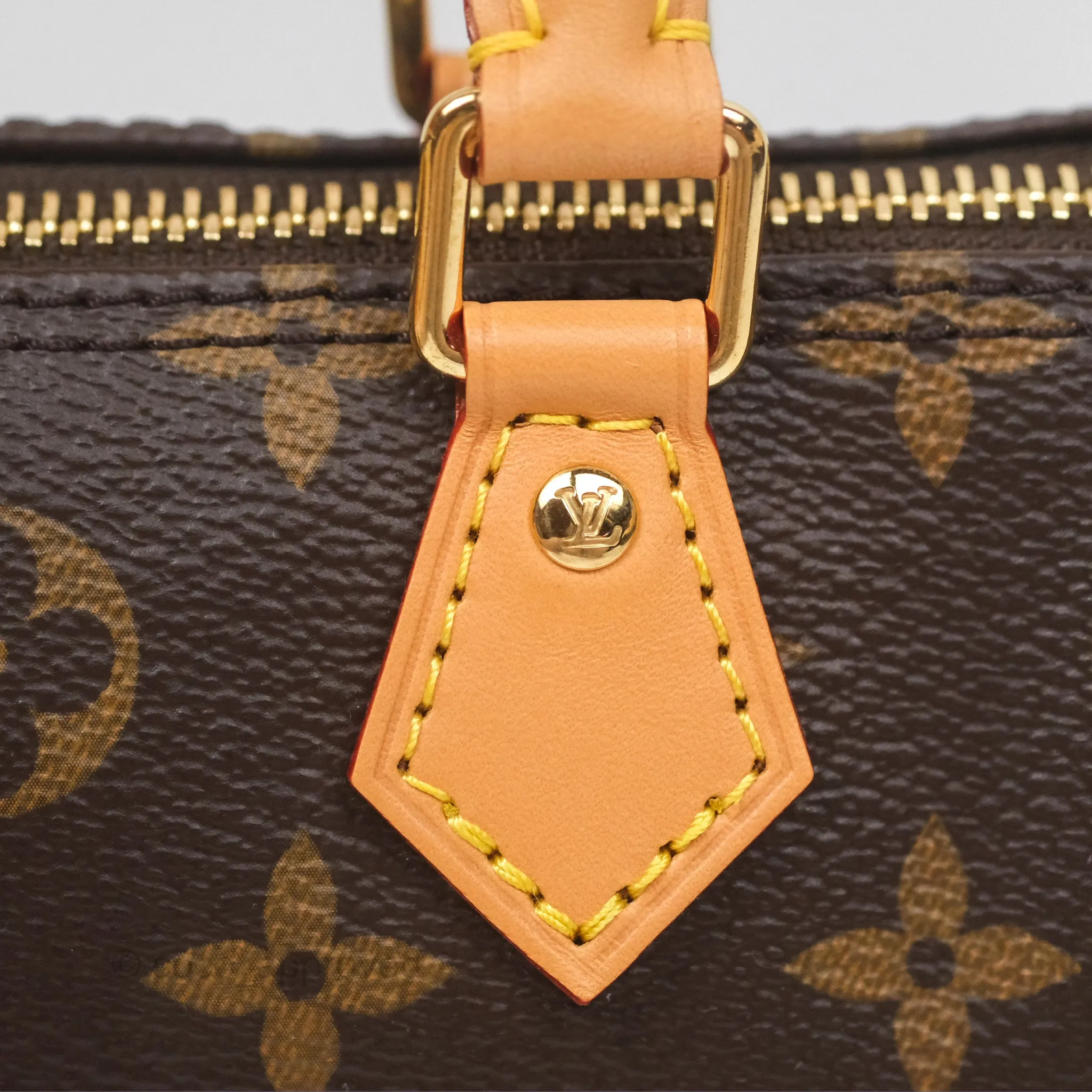 Louis Vuitton Nano Speedy Monogram
