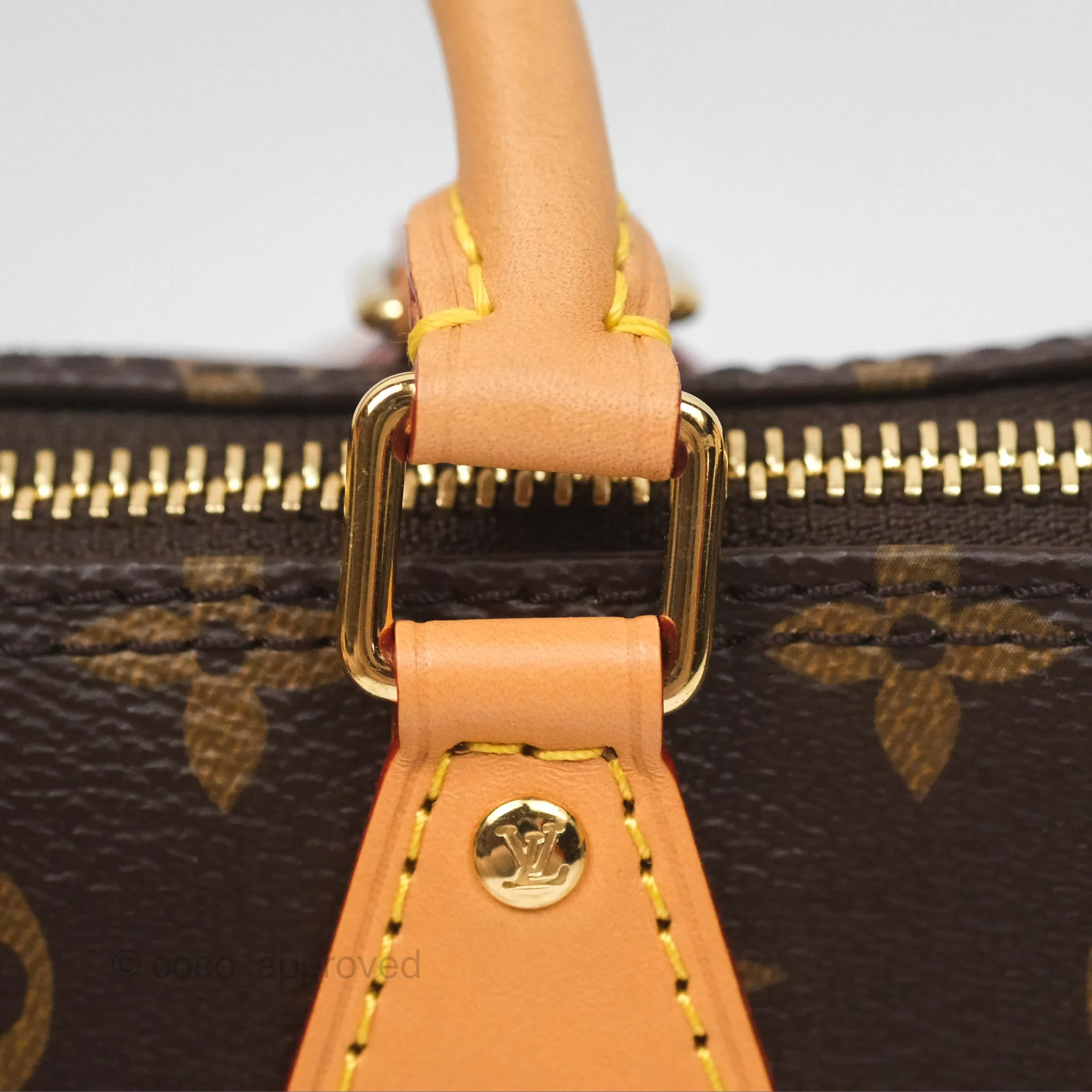 Louis Vuitton Nano Speedy Monogram