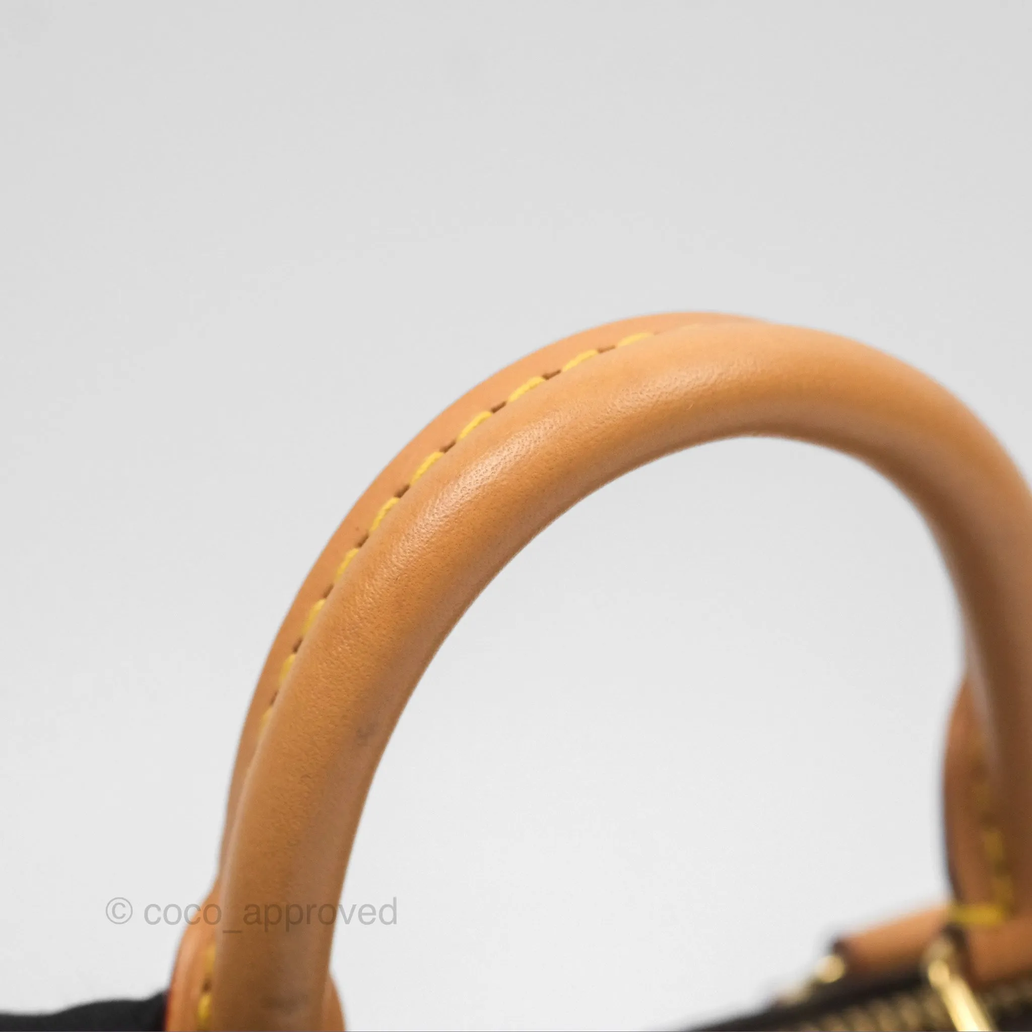 Louis Vuitton Nano Speedy Monogram
