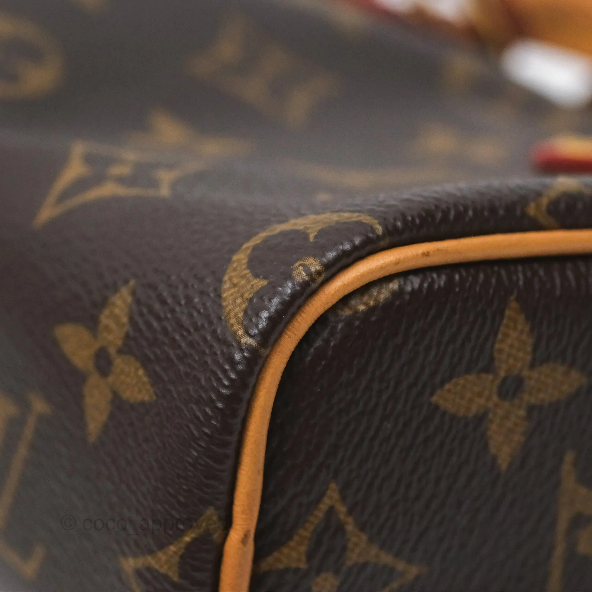 Louis Vuitton Nano Speedy Monogram